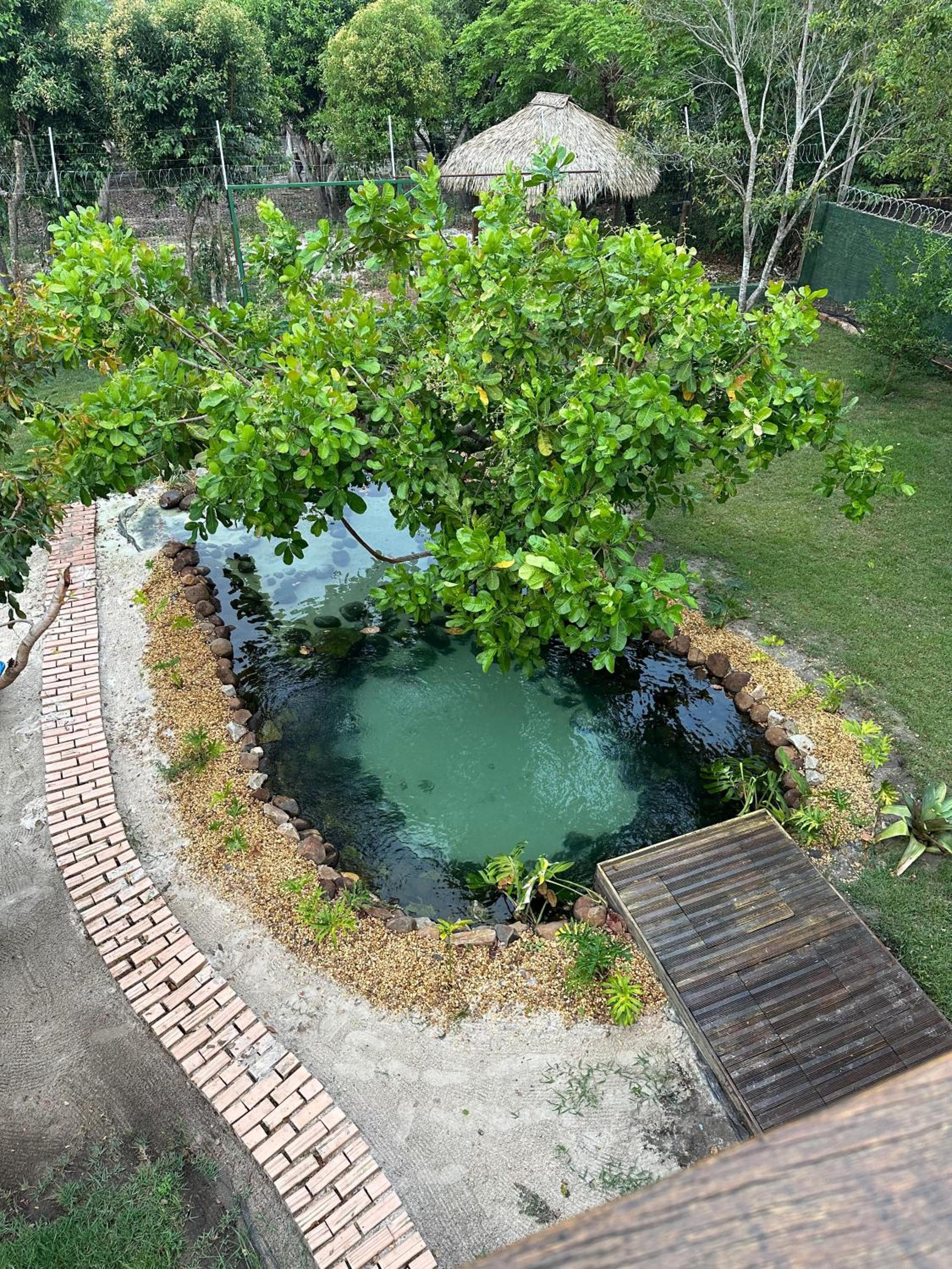 Casa do Lago em Alter do Chão