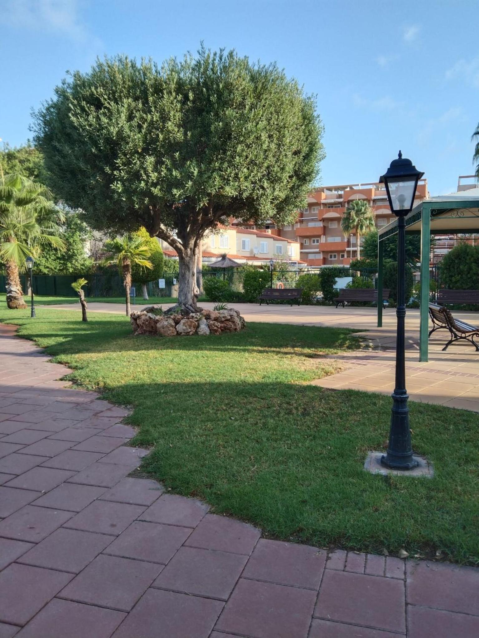 APARTAMENTO PLANTA BAJA CANET DE BERENGUER