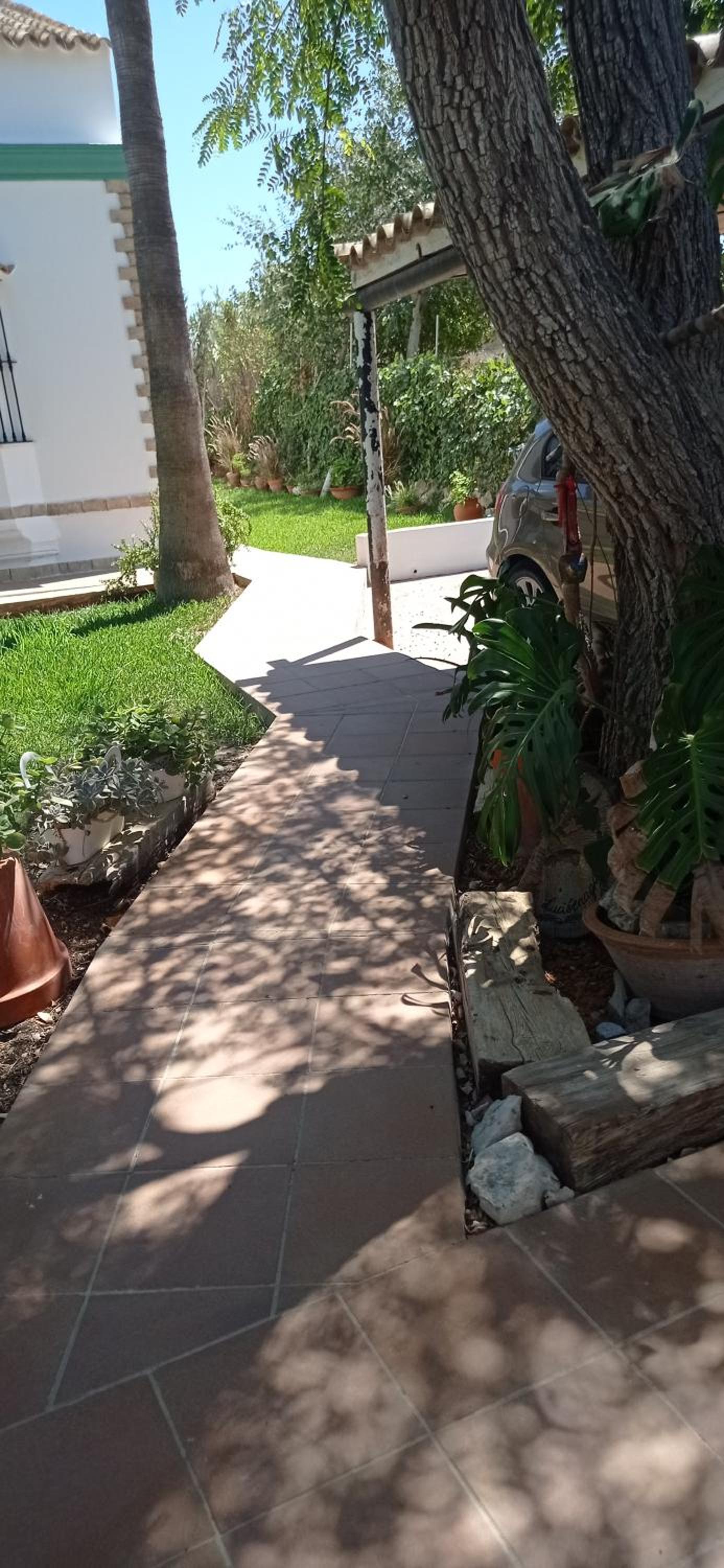 La Luciérnaga