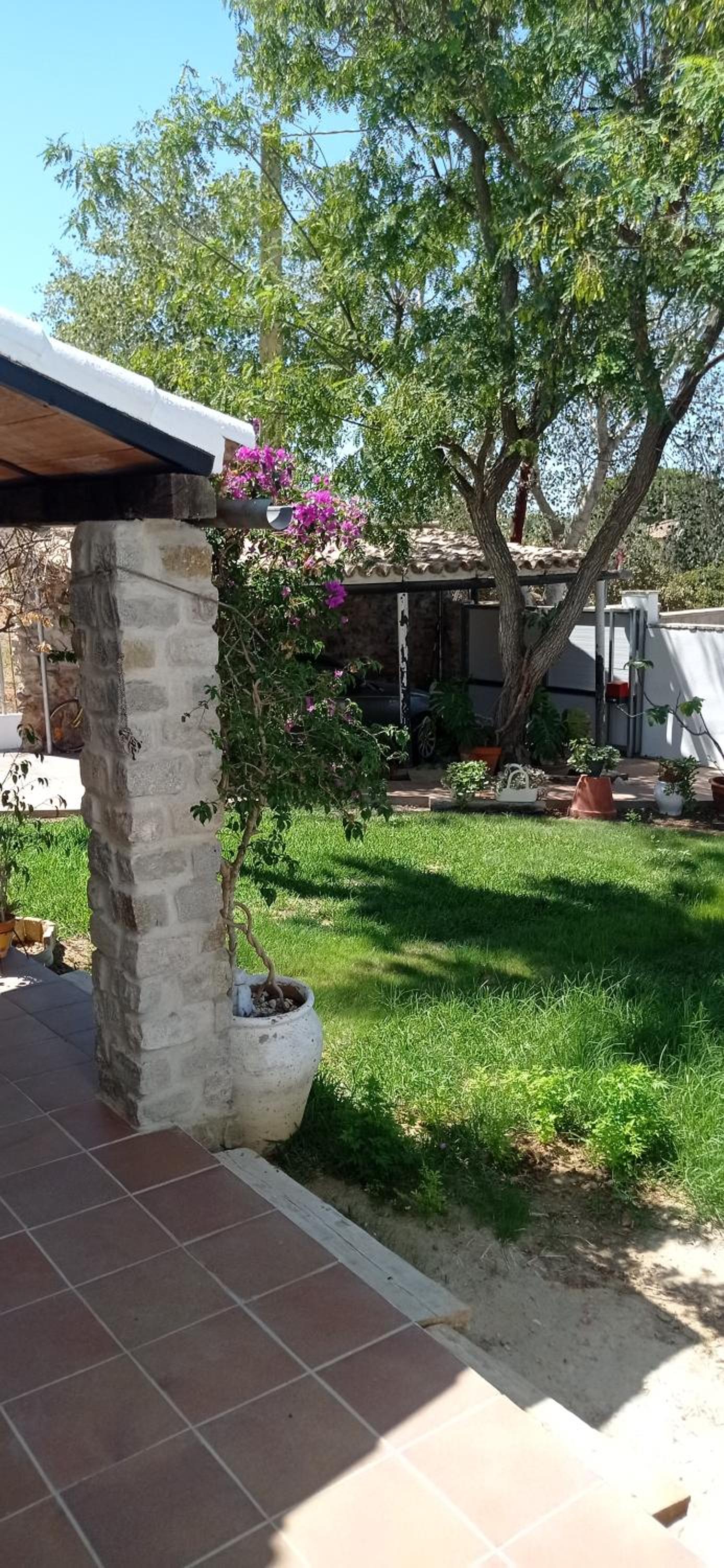 La Luciérnaga