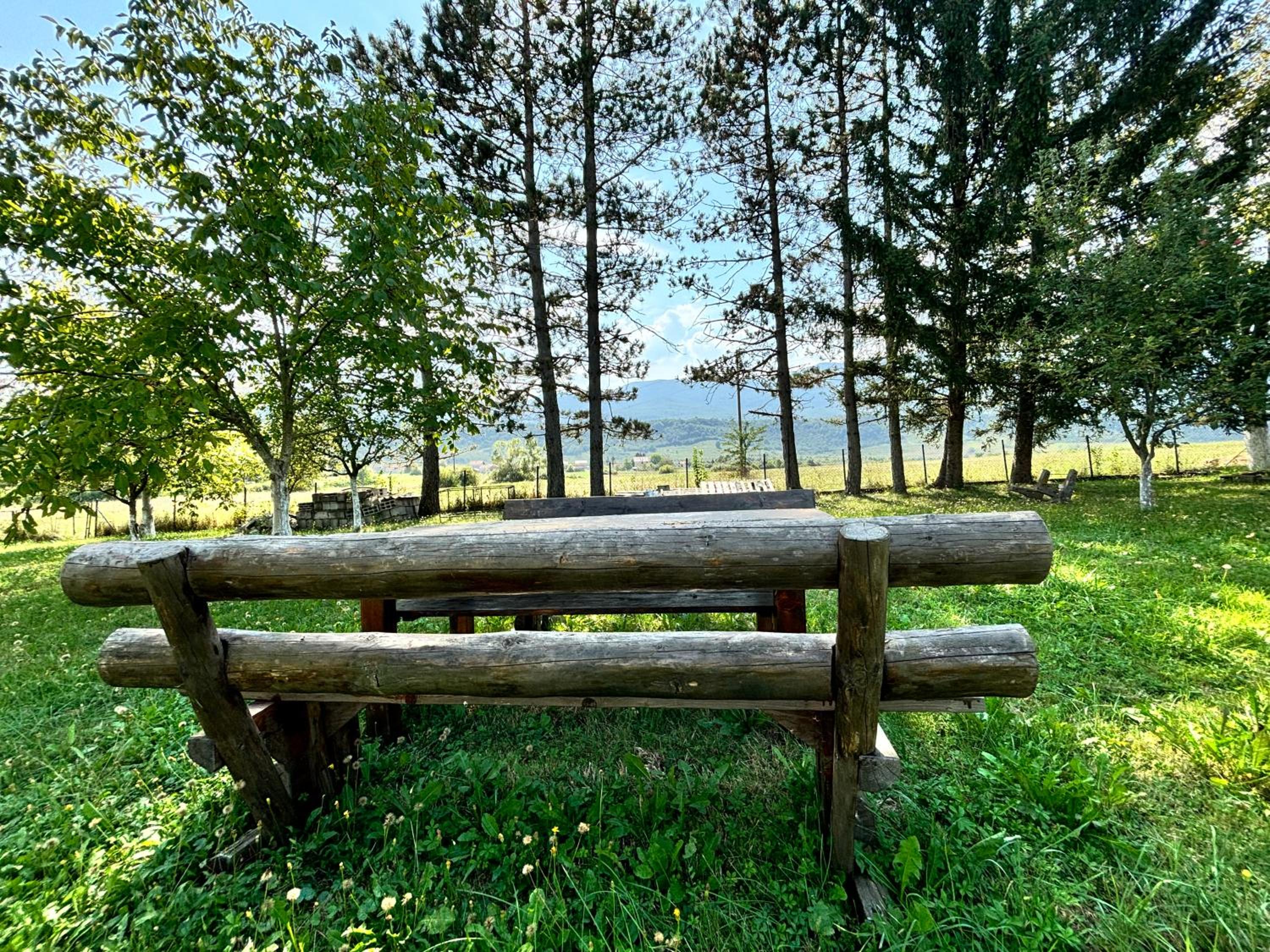 Peace Holiday Home