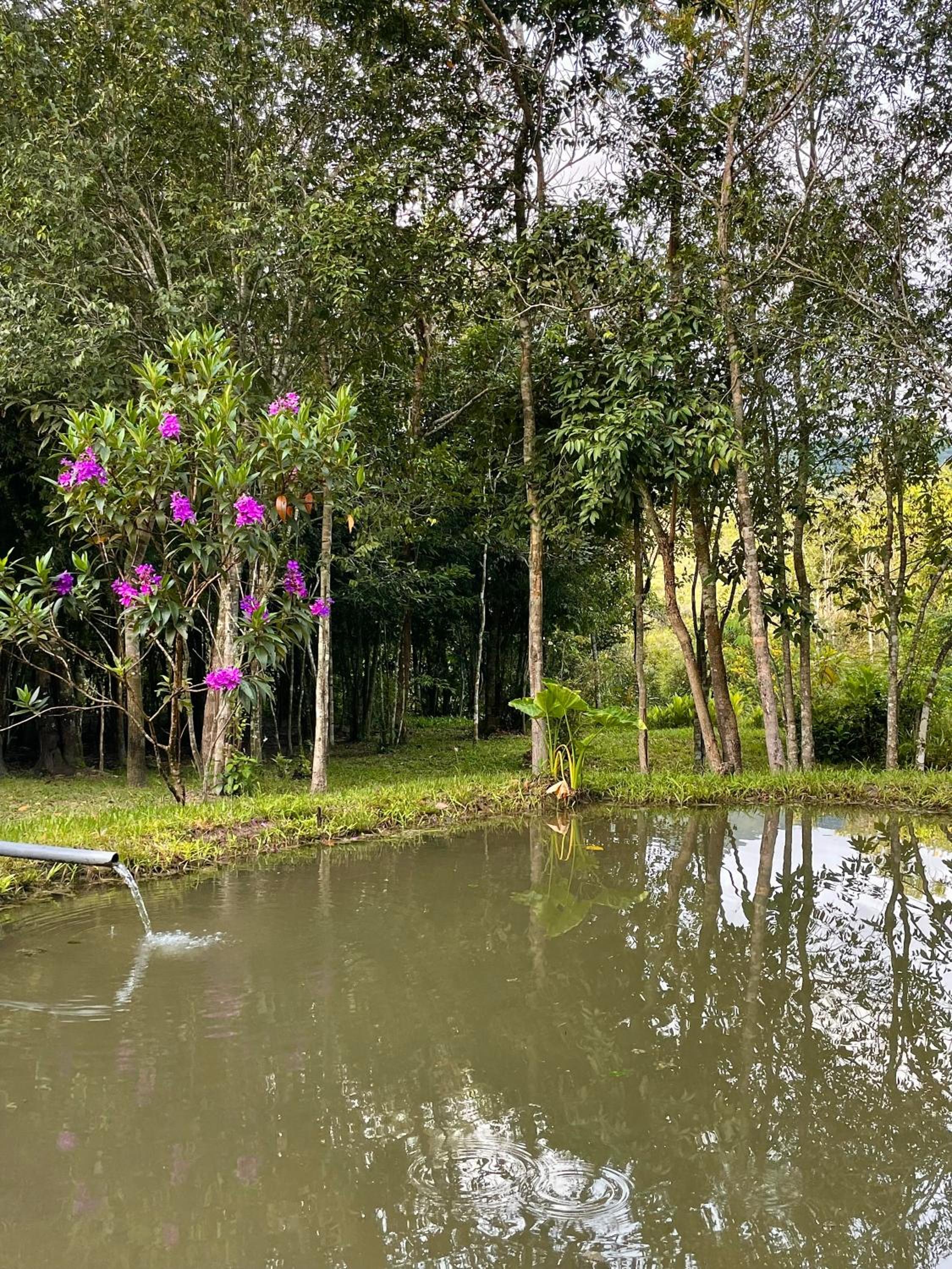 Recanto Dona Ana (chácara)