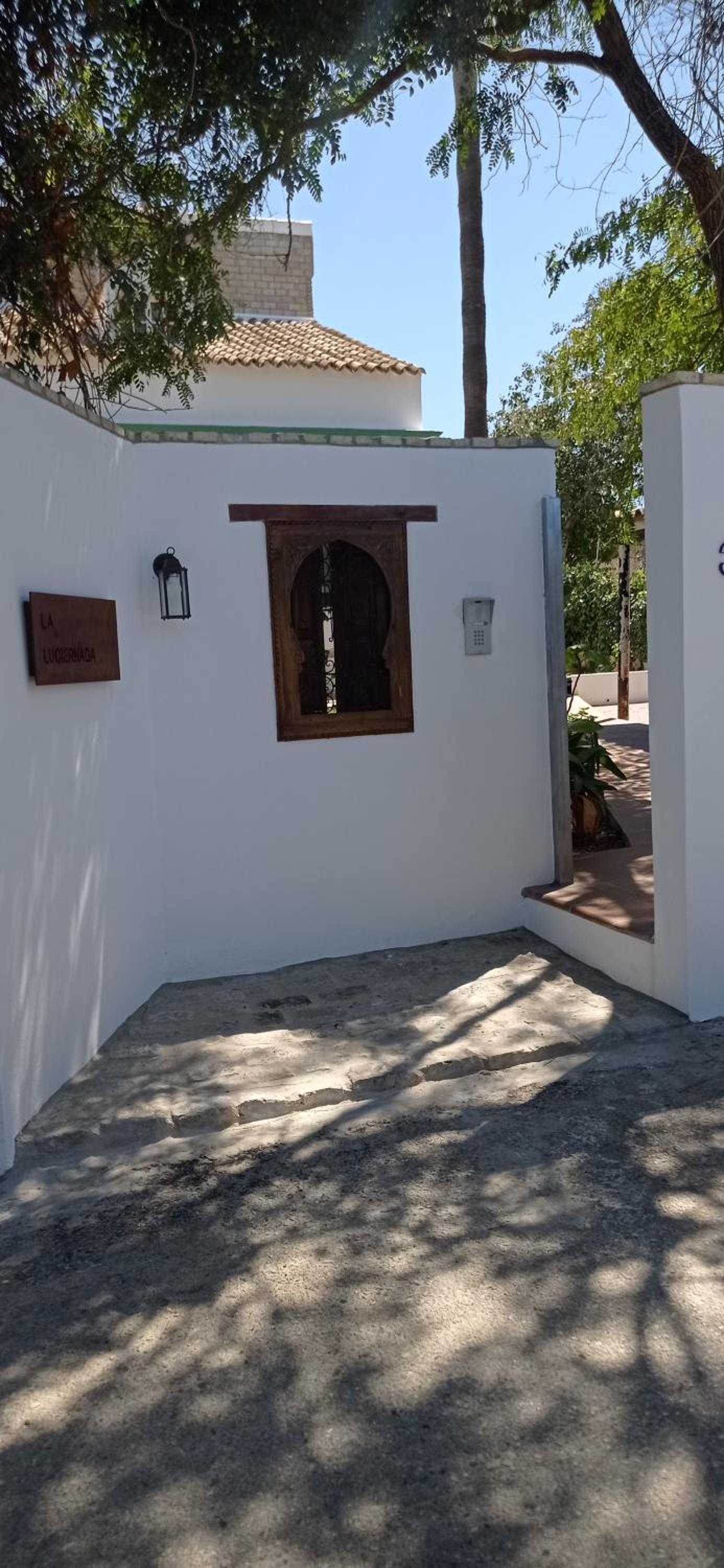 La Luciérnaga