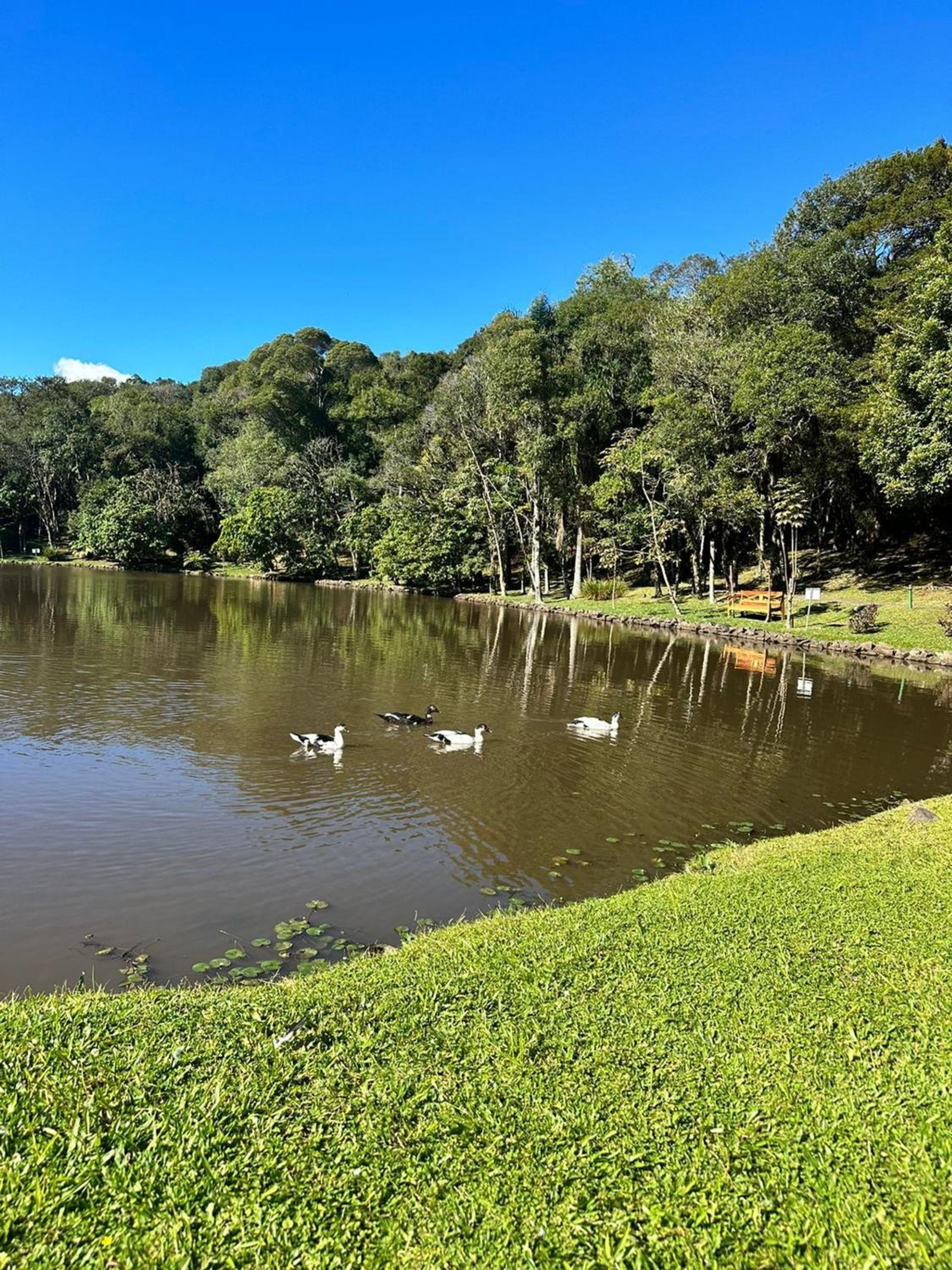 Locar-in Gramado - Lagos de Gramado Cond. fechado