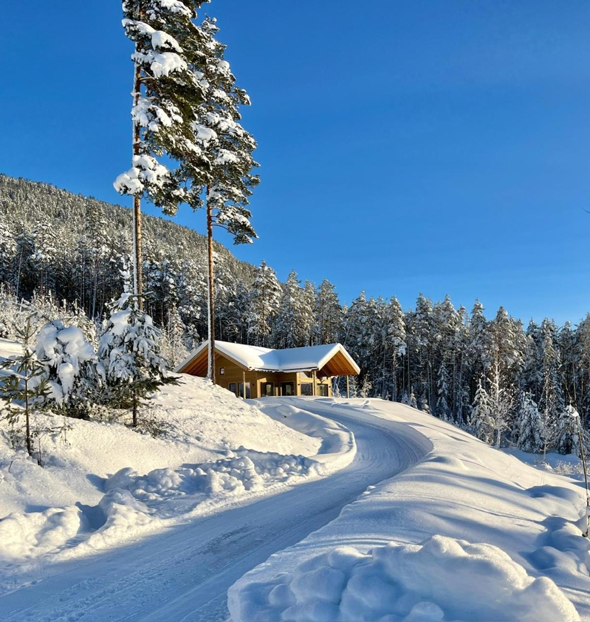 Furuheim Lodge, 4 seizoenen vakantiehuis met fantastisch uitzicht view 2