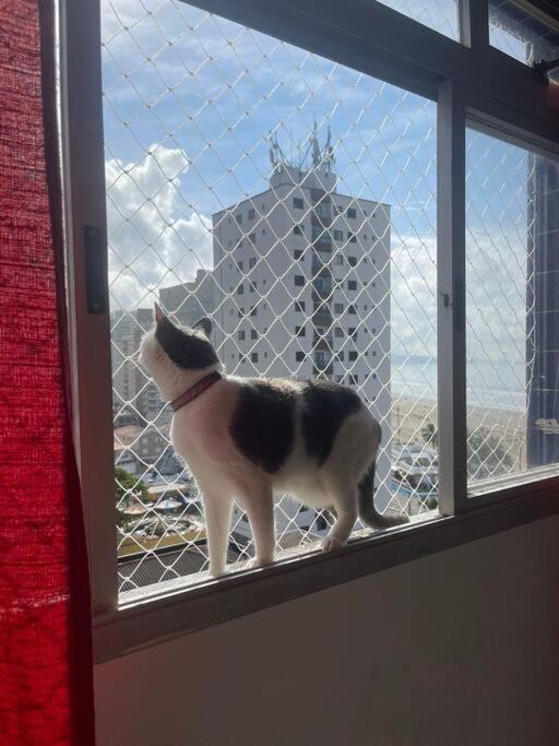 Apartamento pé na areia Praia Ocian - Frente Mar