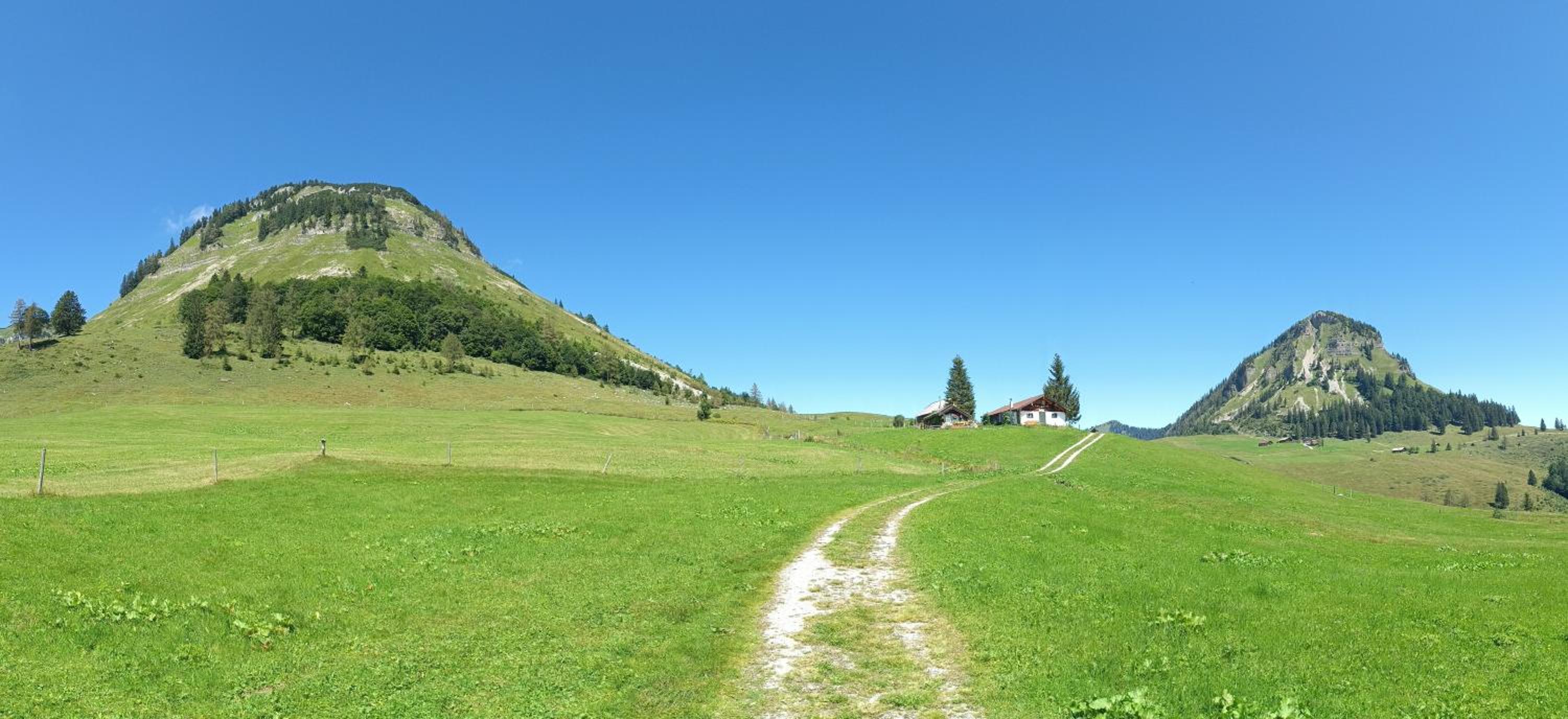Wohlfühl-Ferienwohnung 