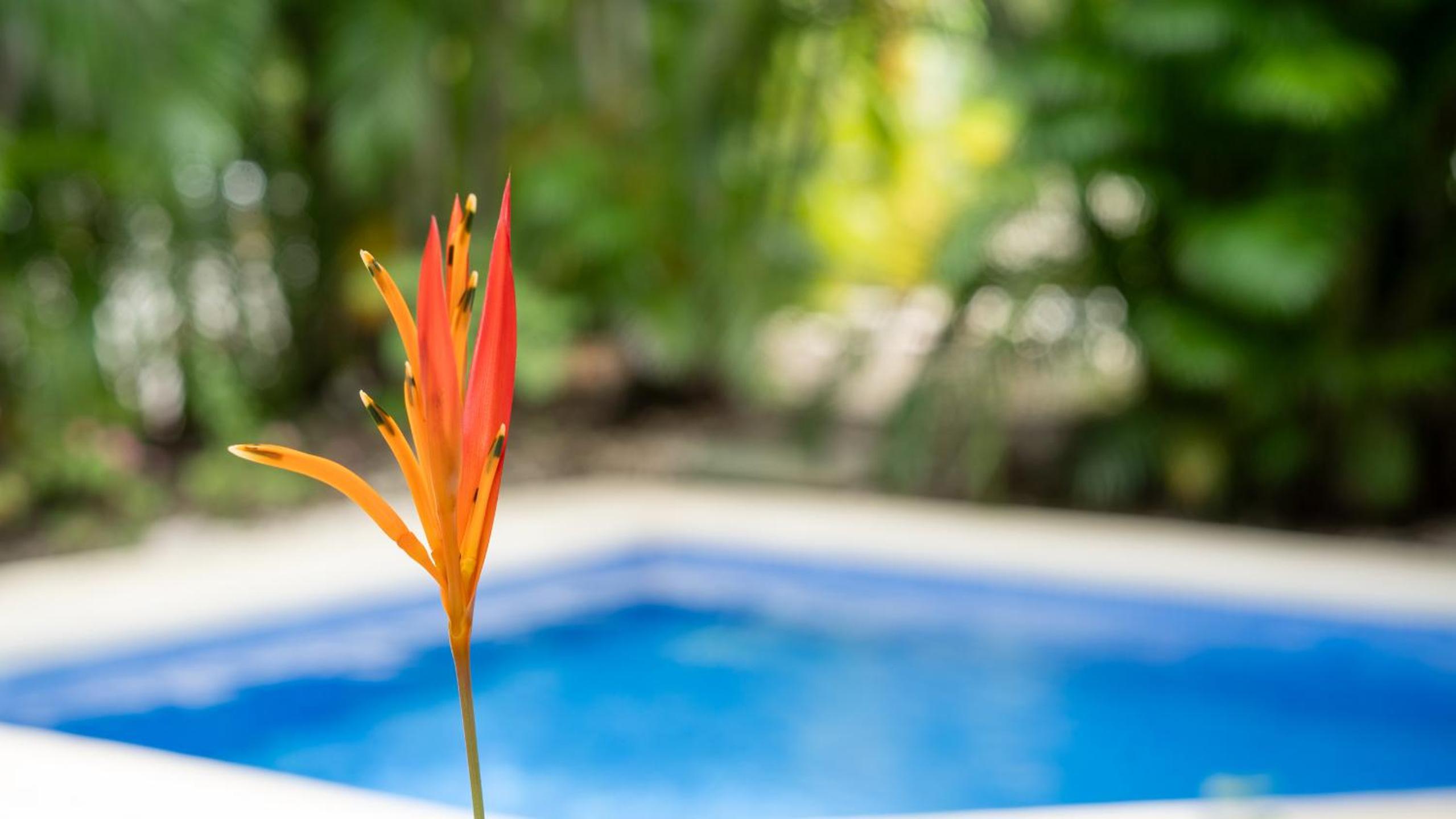 MonteMar Beach Condo At Playa hermosa
