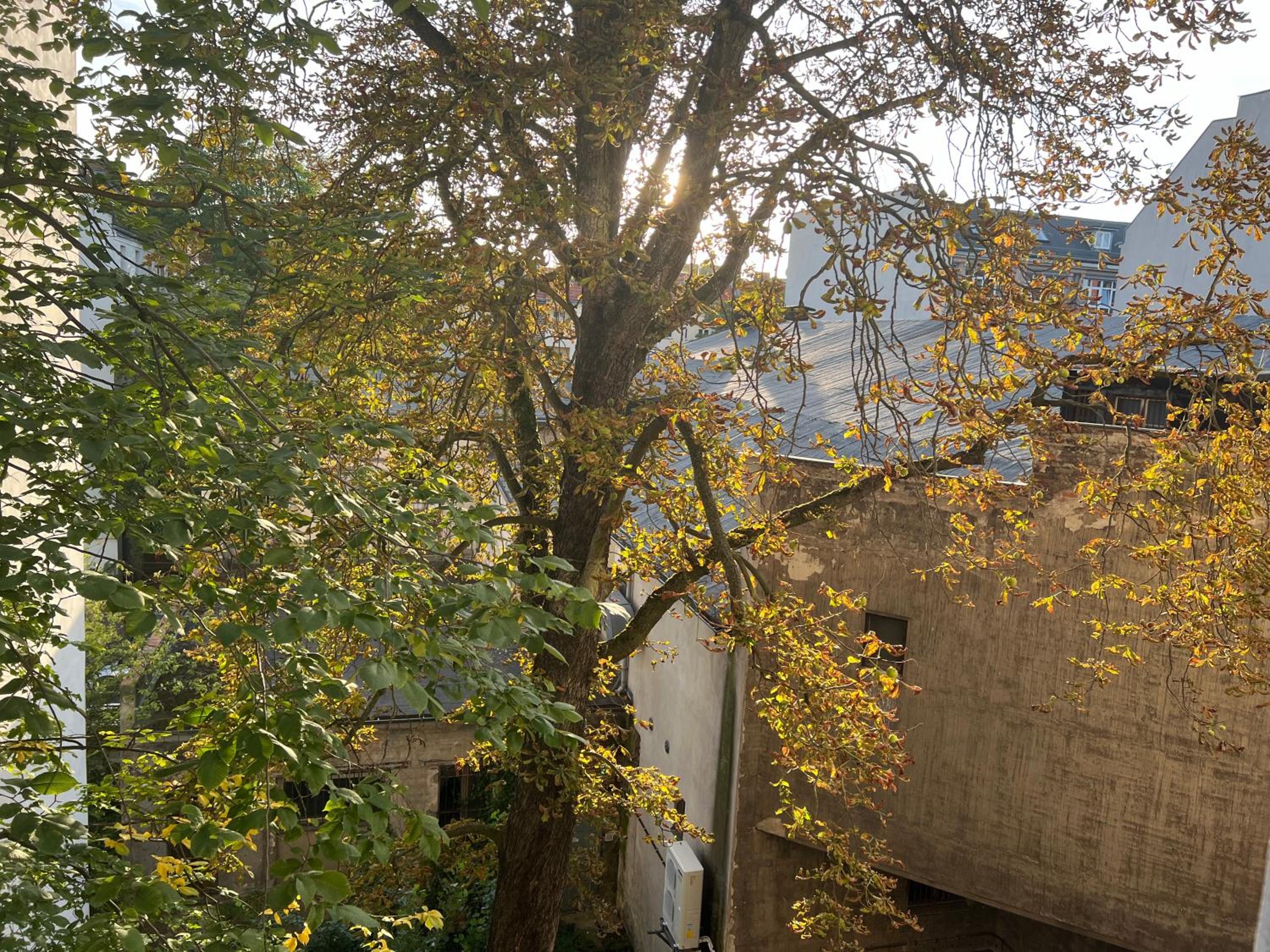 Schillerkiez helle zentrale Wohnung mit Berliner Charme