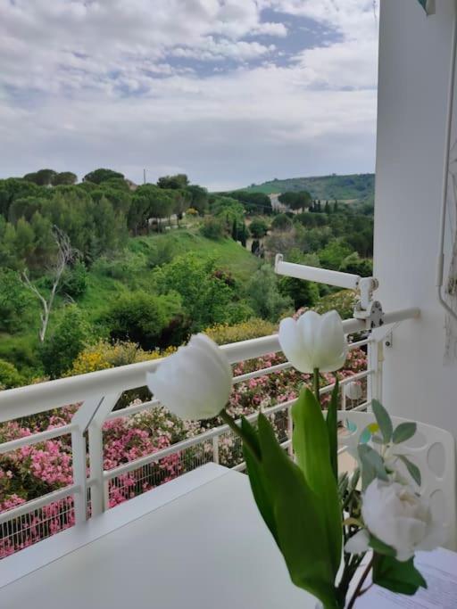 HolidayHome Manetta tra Mare e Natura photo 5