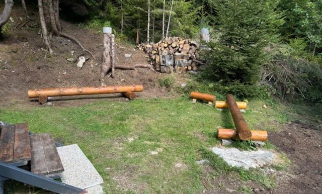 Heidi-Alm-Amelie am Präbichl