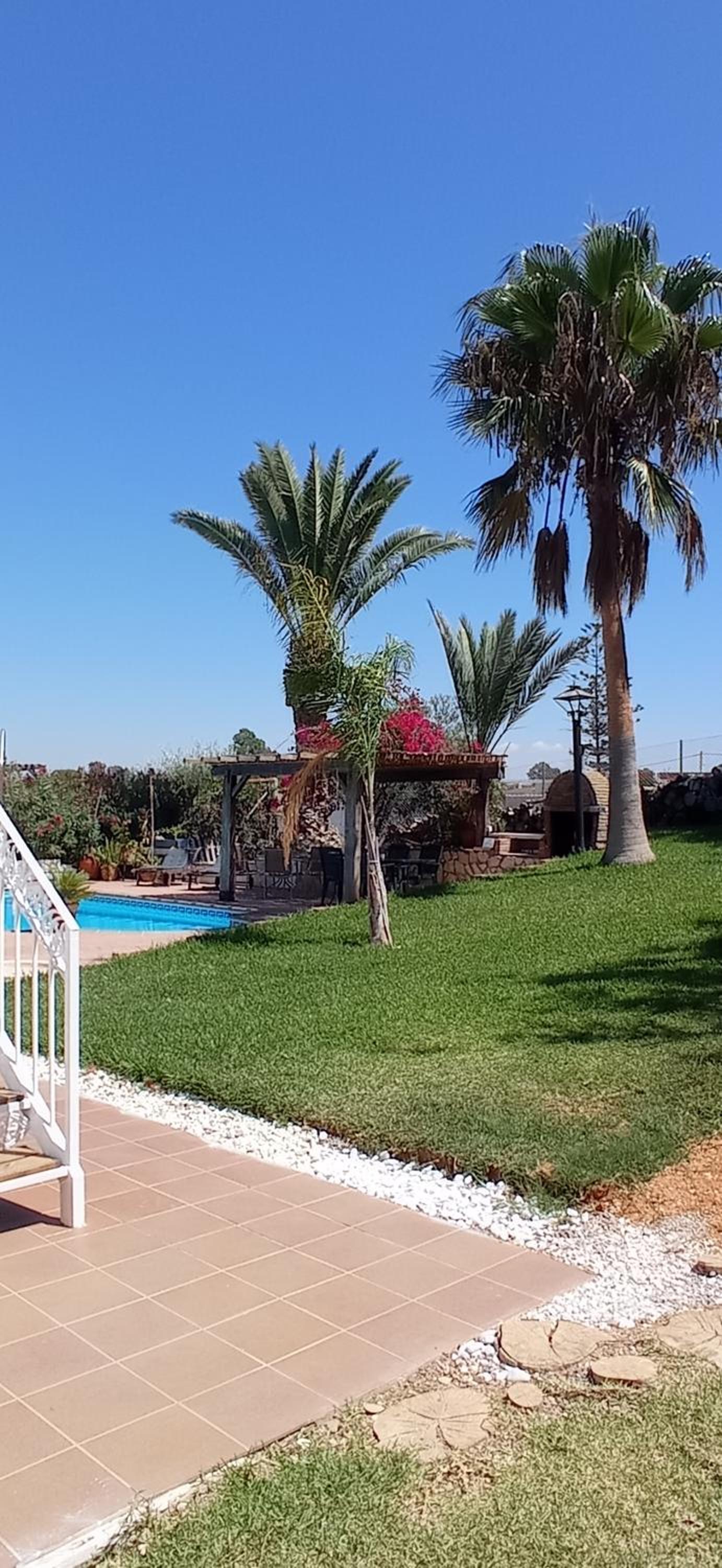 La Luciérnaga