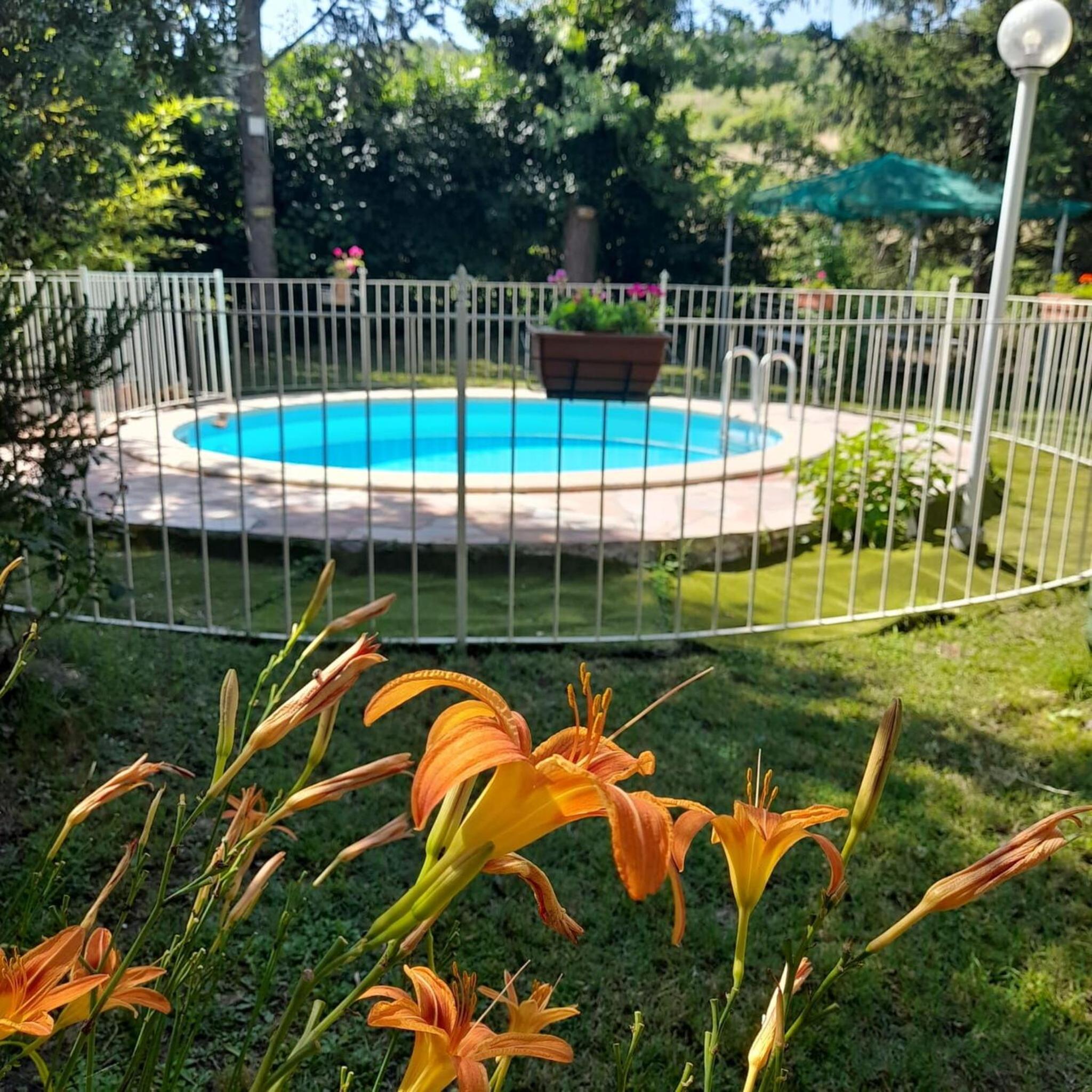 Italian Experience- Podere Vallino photo 2