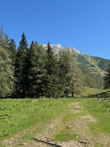 Heidi-Alm-Amelie am Präbichl