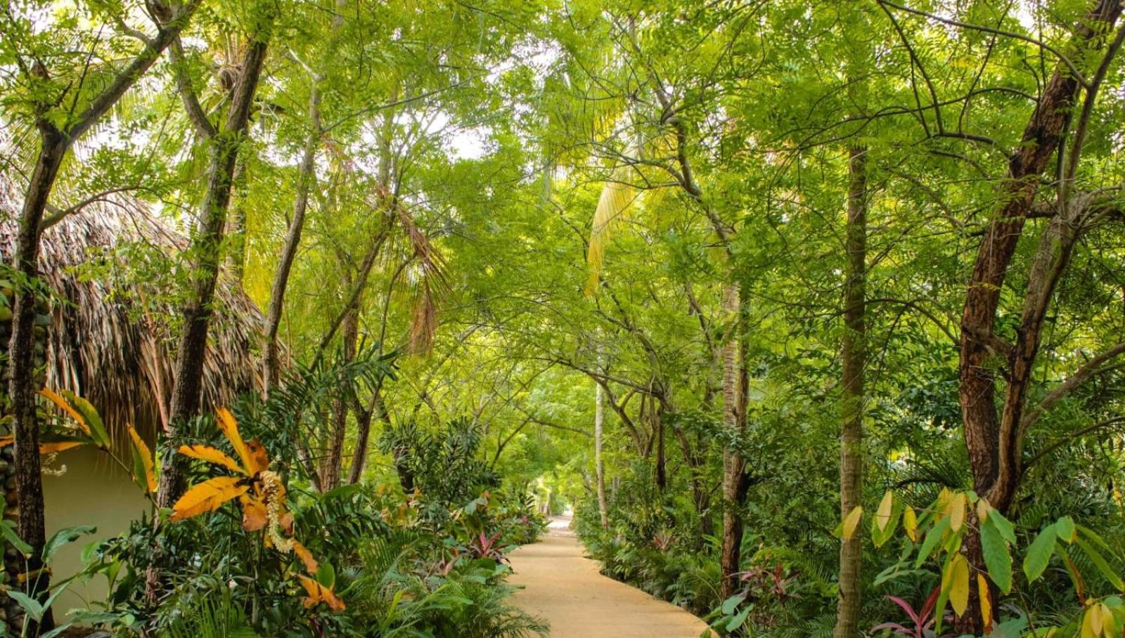 Villa Privada en Naio Palomino