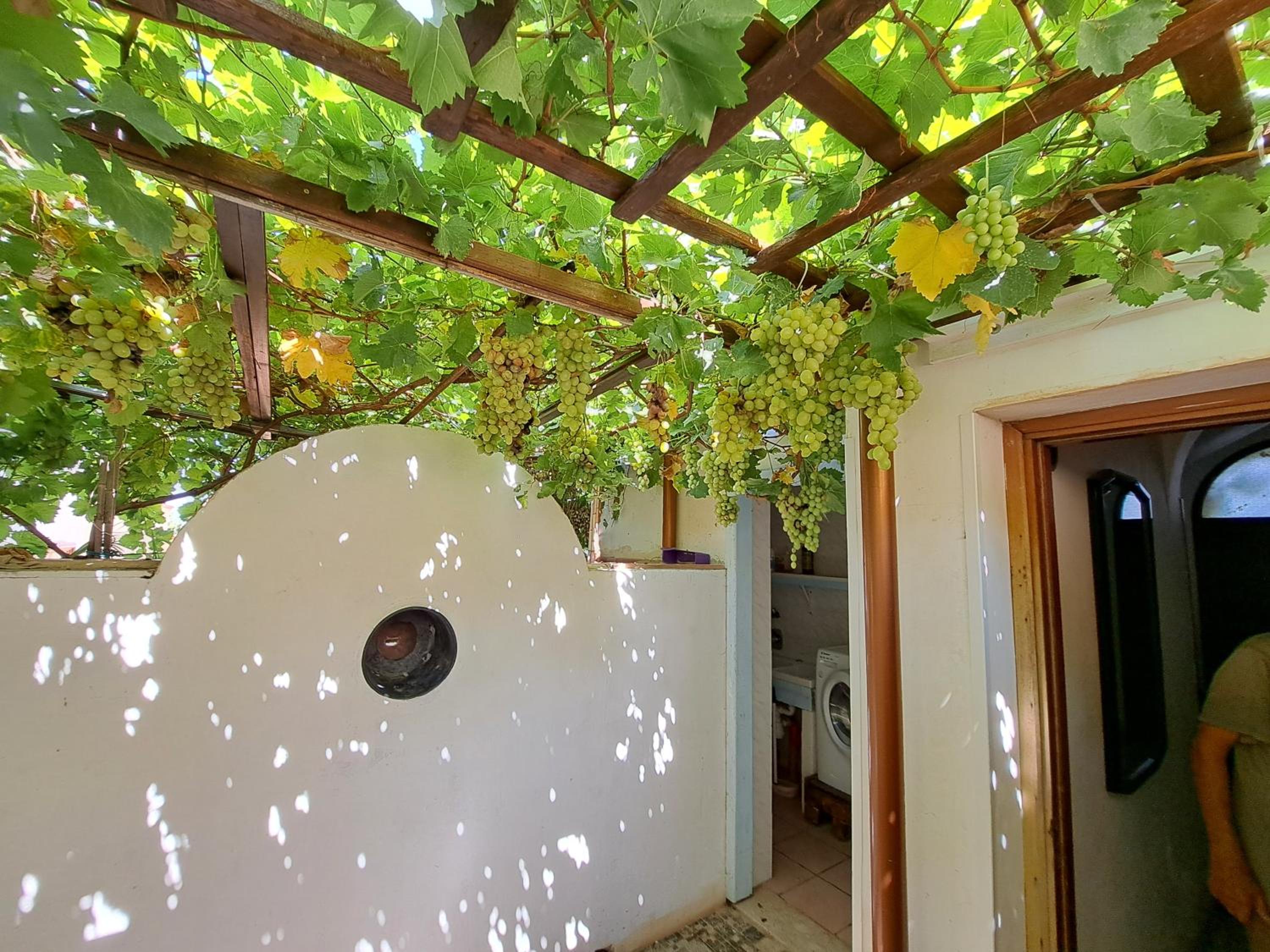 Residence Villa Flora