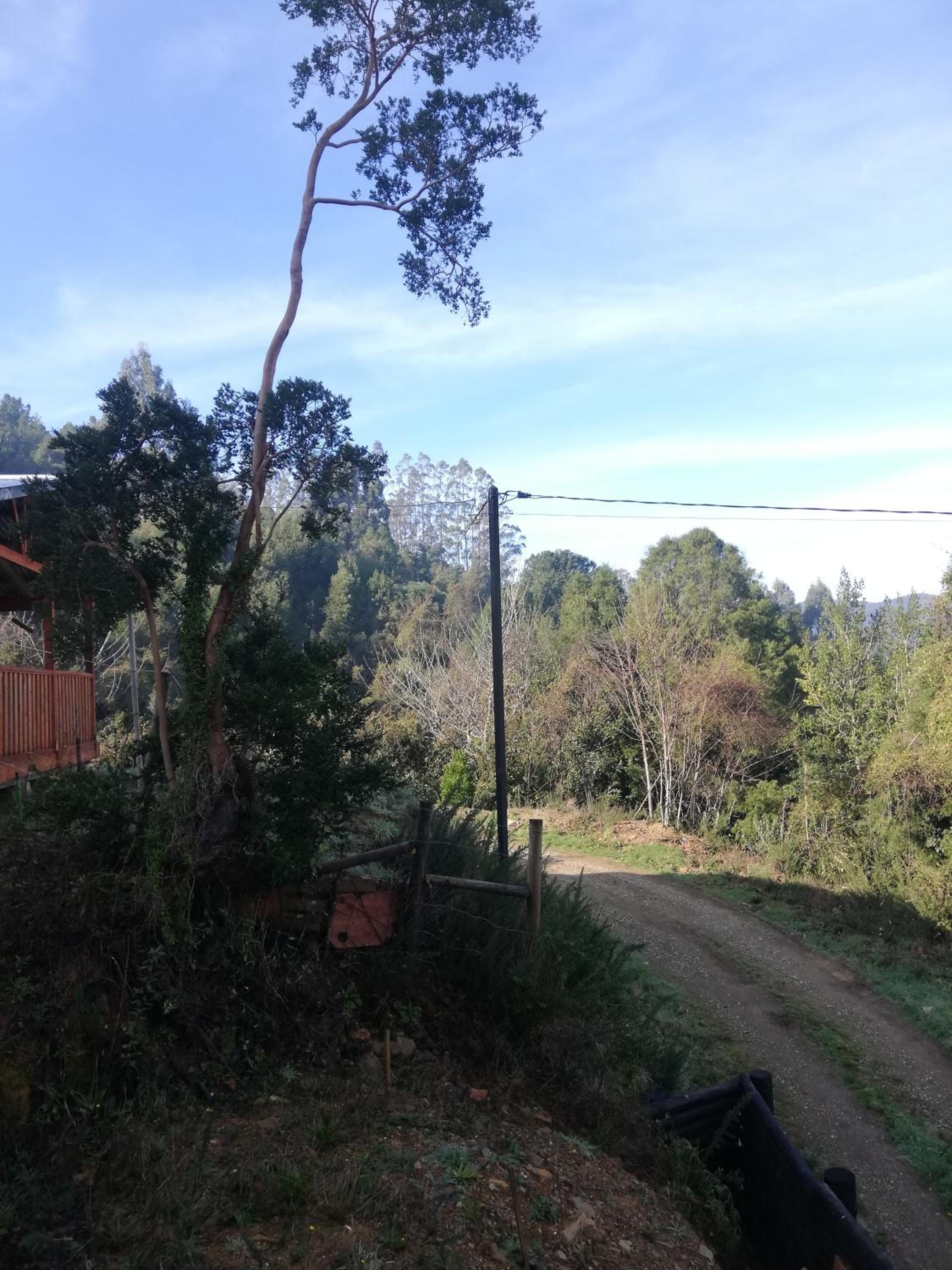 Casa Rustik