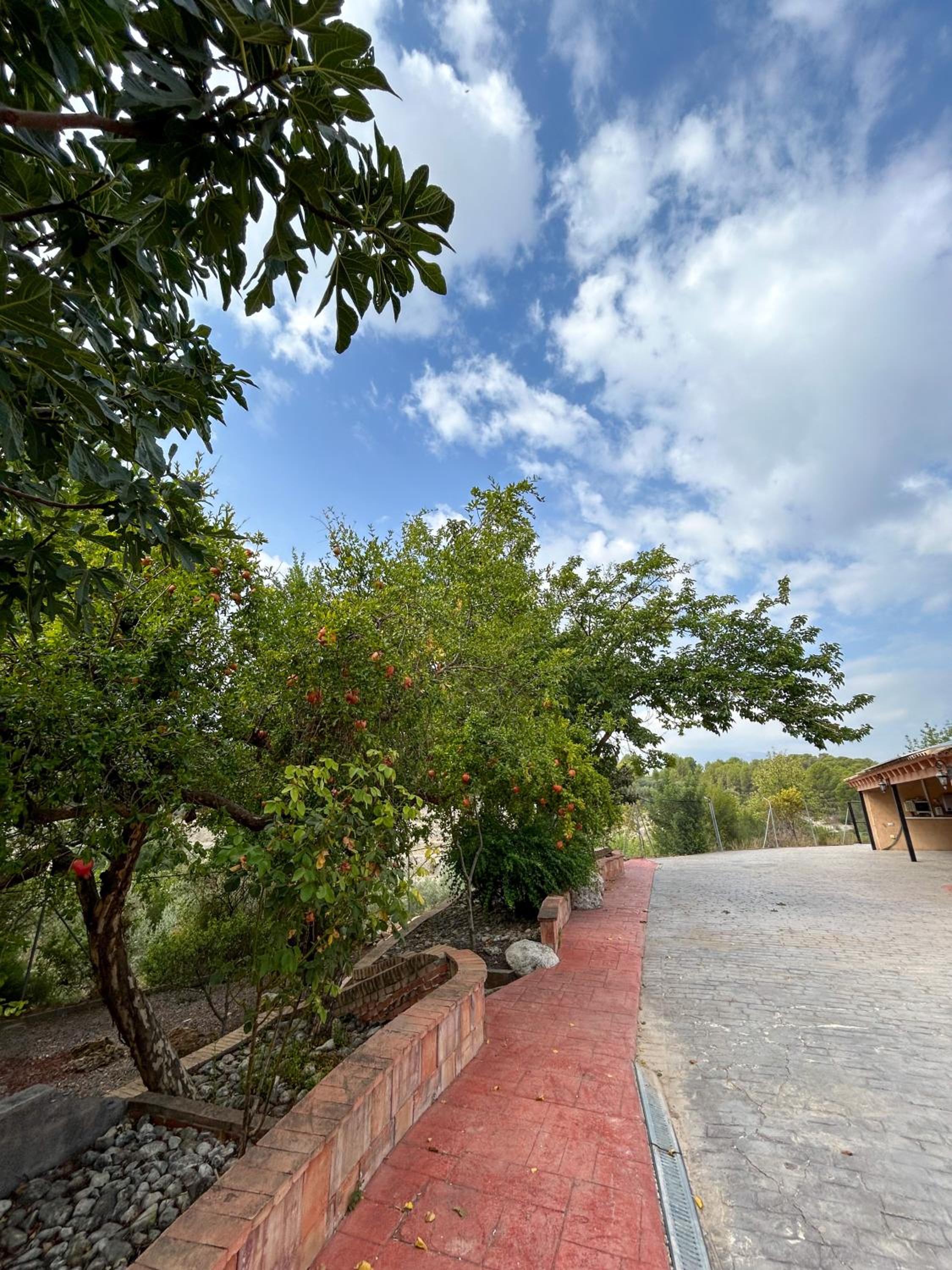 Finca Vitoria