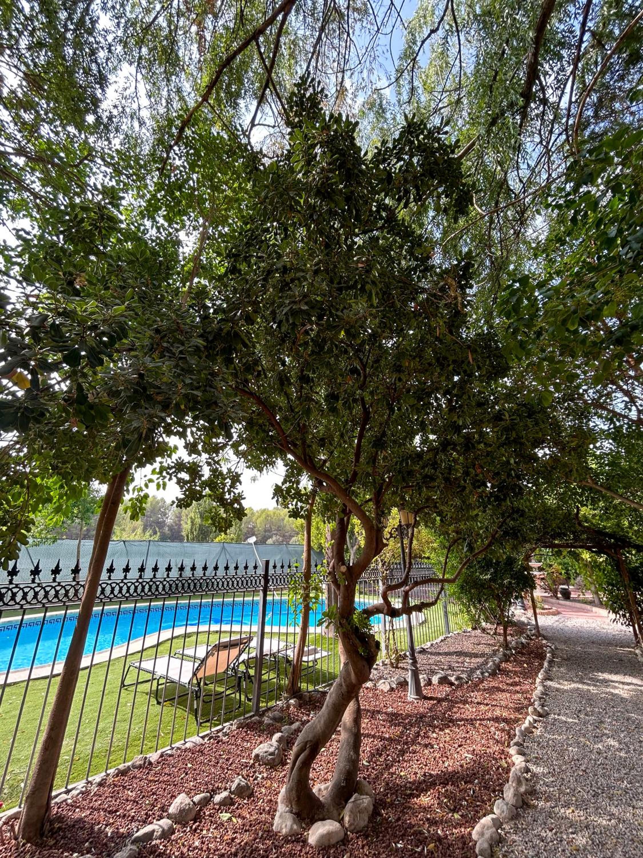 Finca Vitoria
