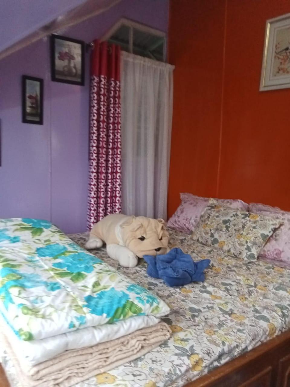 Photo 21