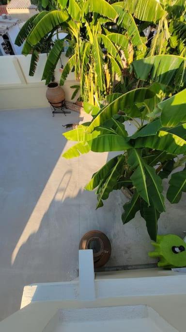 Photo 44