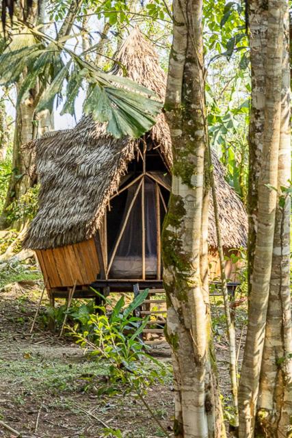 Jungle Cabin - Satori Natural