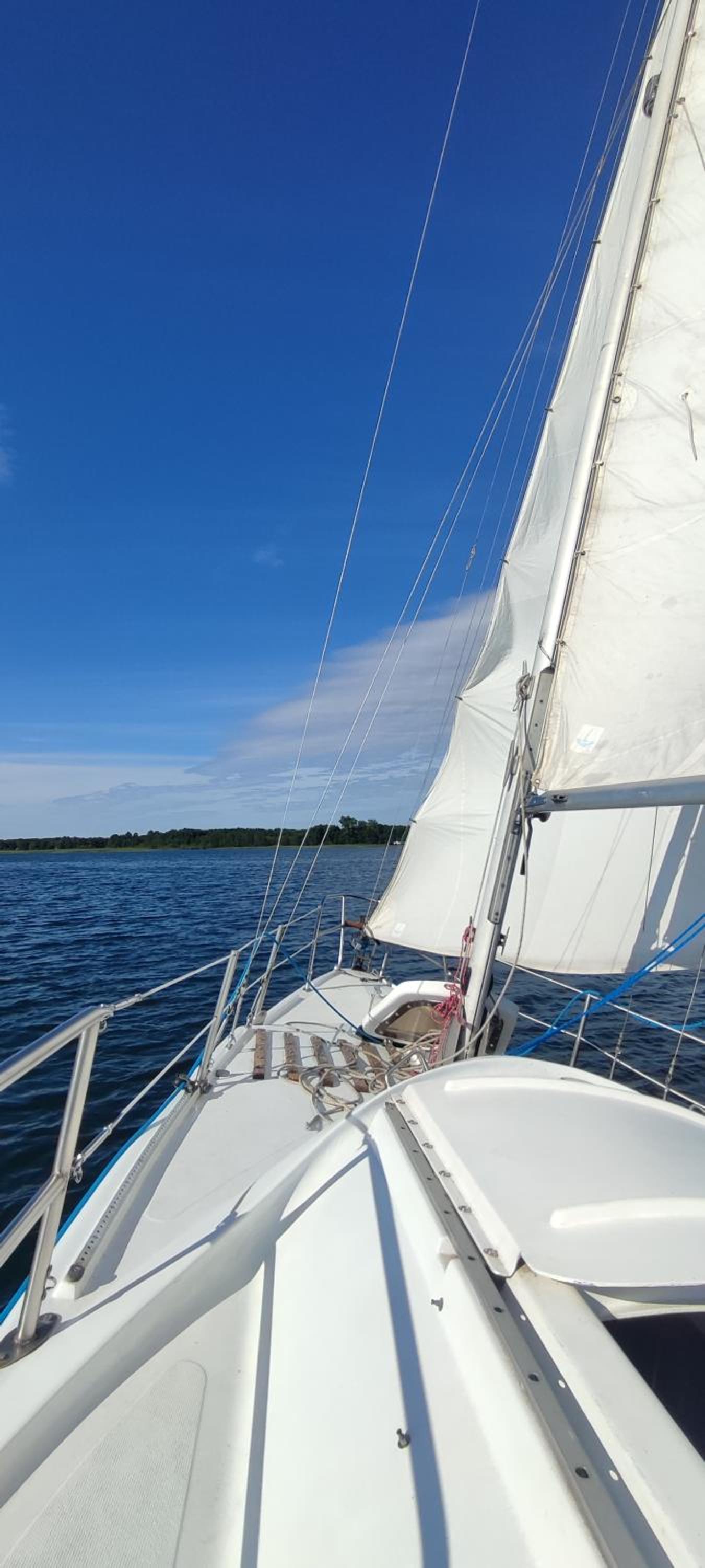 Perlytė
