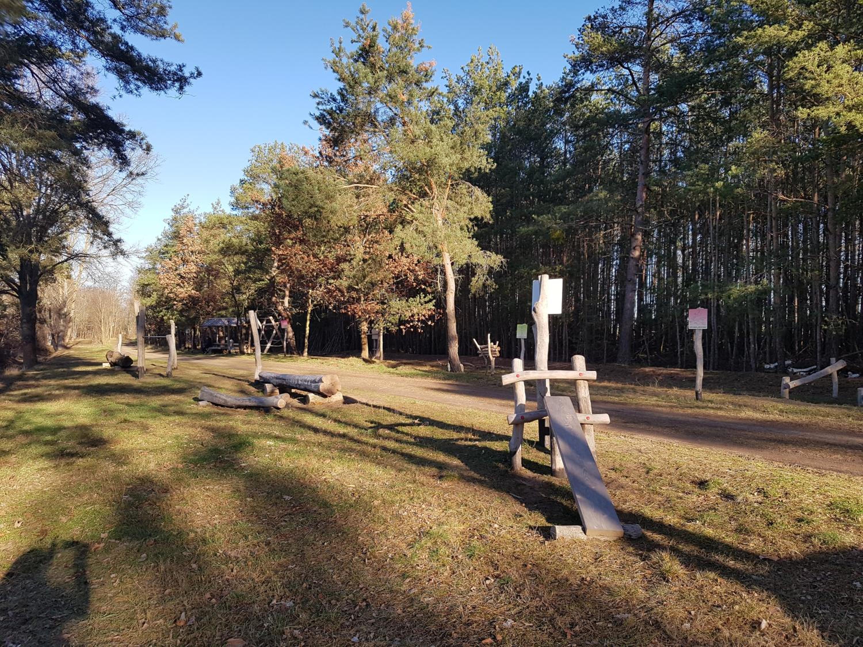 Naturferienhof Märkisch Luch - Trapphahn