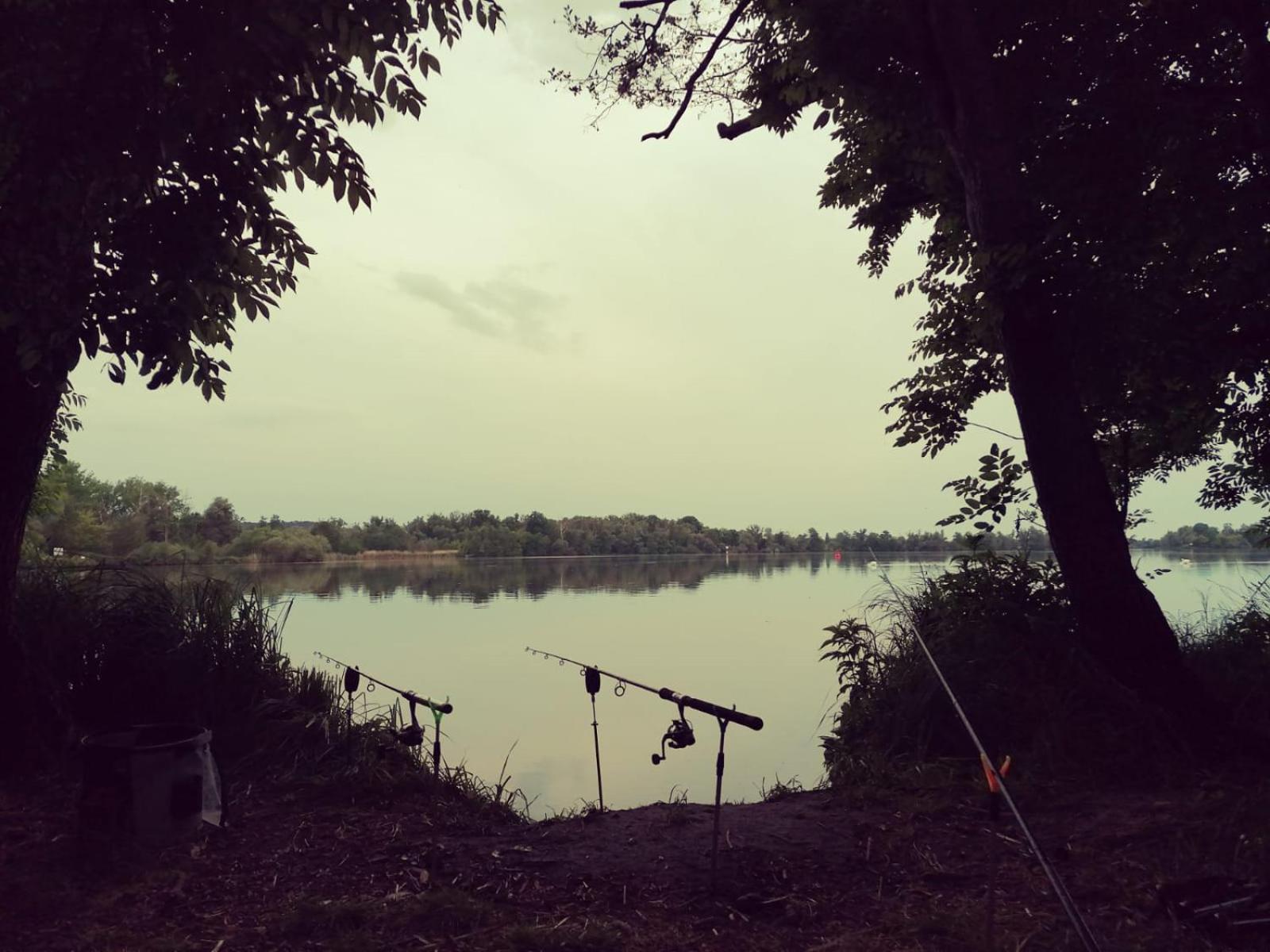 Naturferienhof Märkisch Luch - Trapphahn