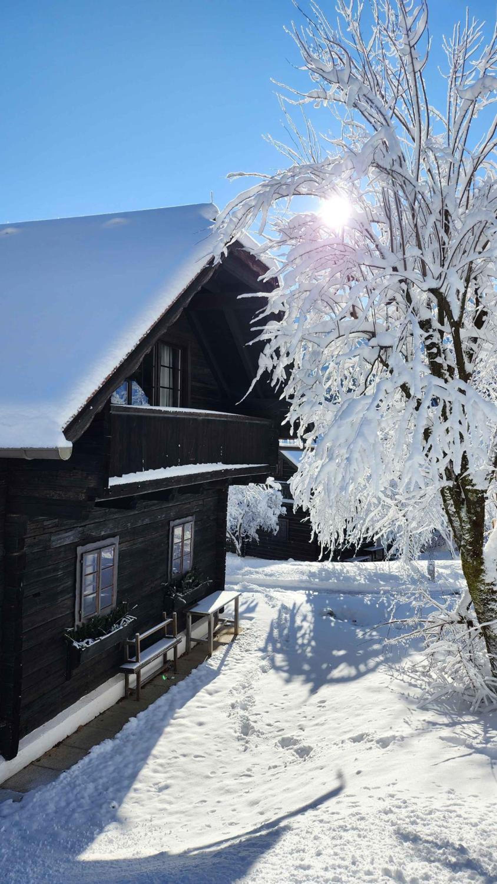 Apartments in Oberaichwald - Kärnten 41151