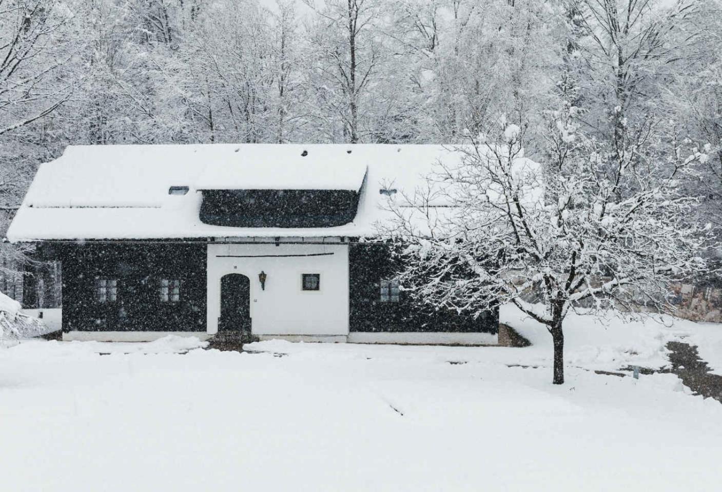 Apartments in Oberaichwald - Kärnten 41151