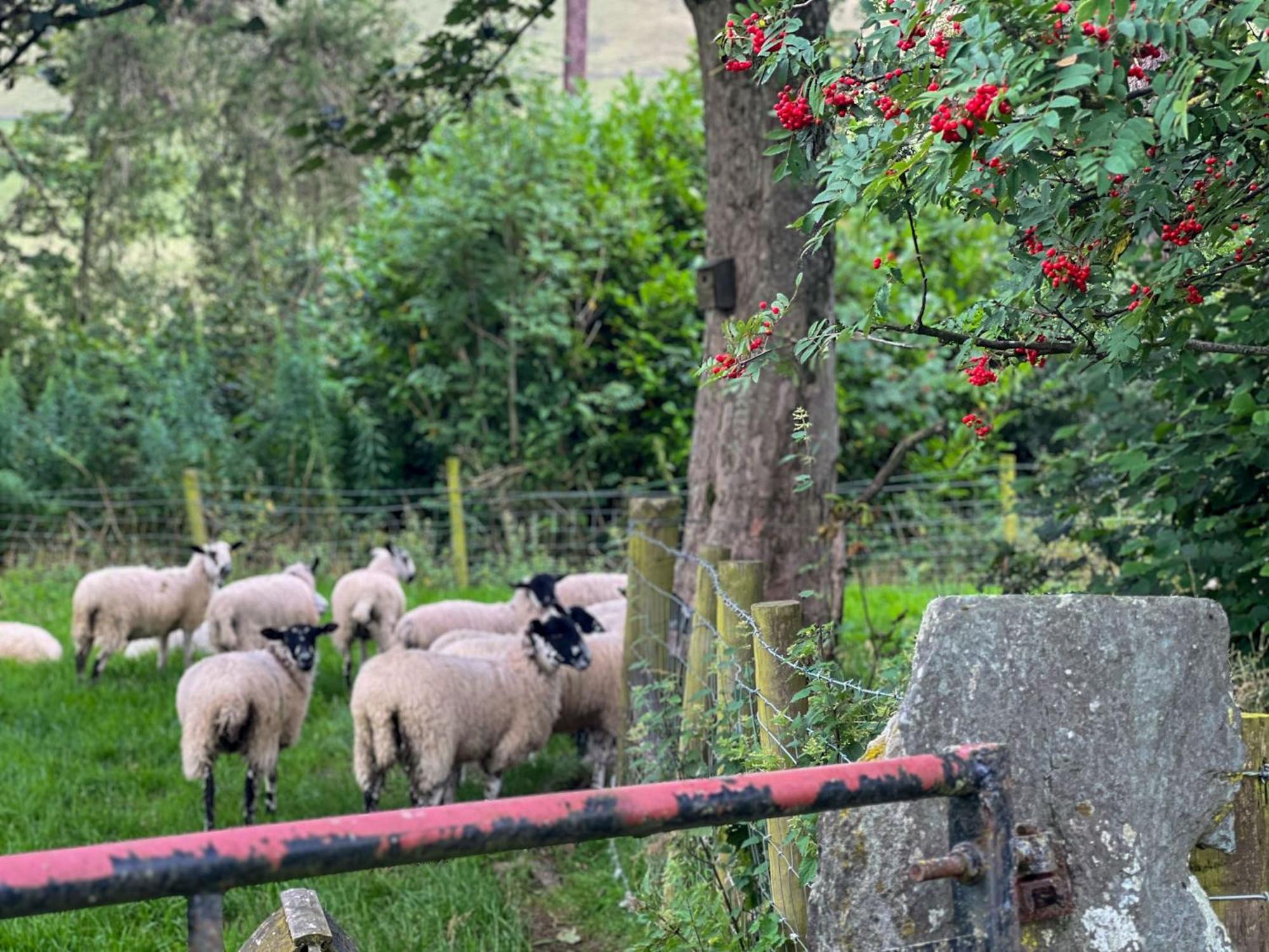Bassenthwaite Farm Cottage, on a working farm in a tranquil setting