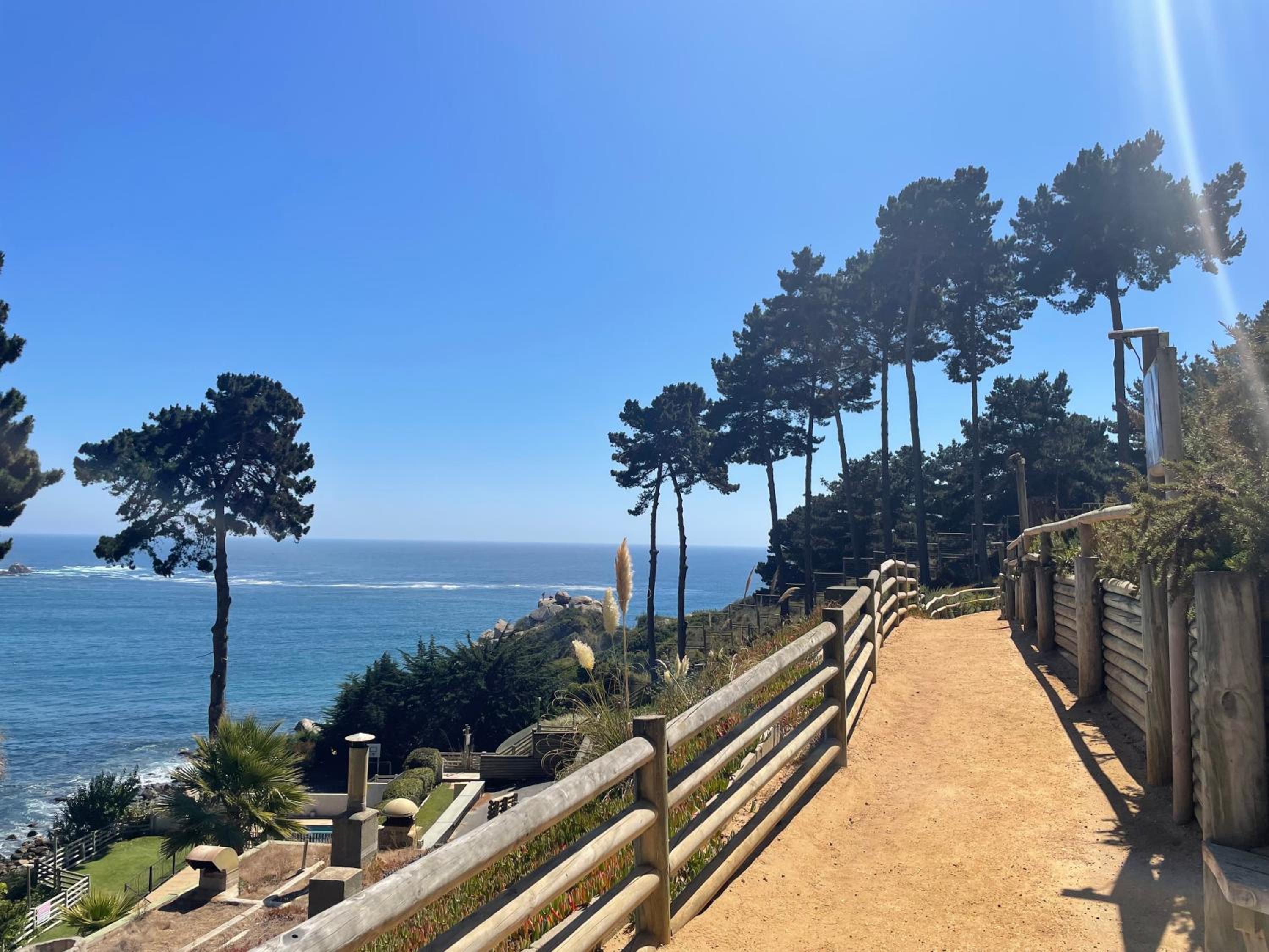 Arriendo vacacional departamento Algarrobo