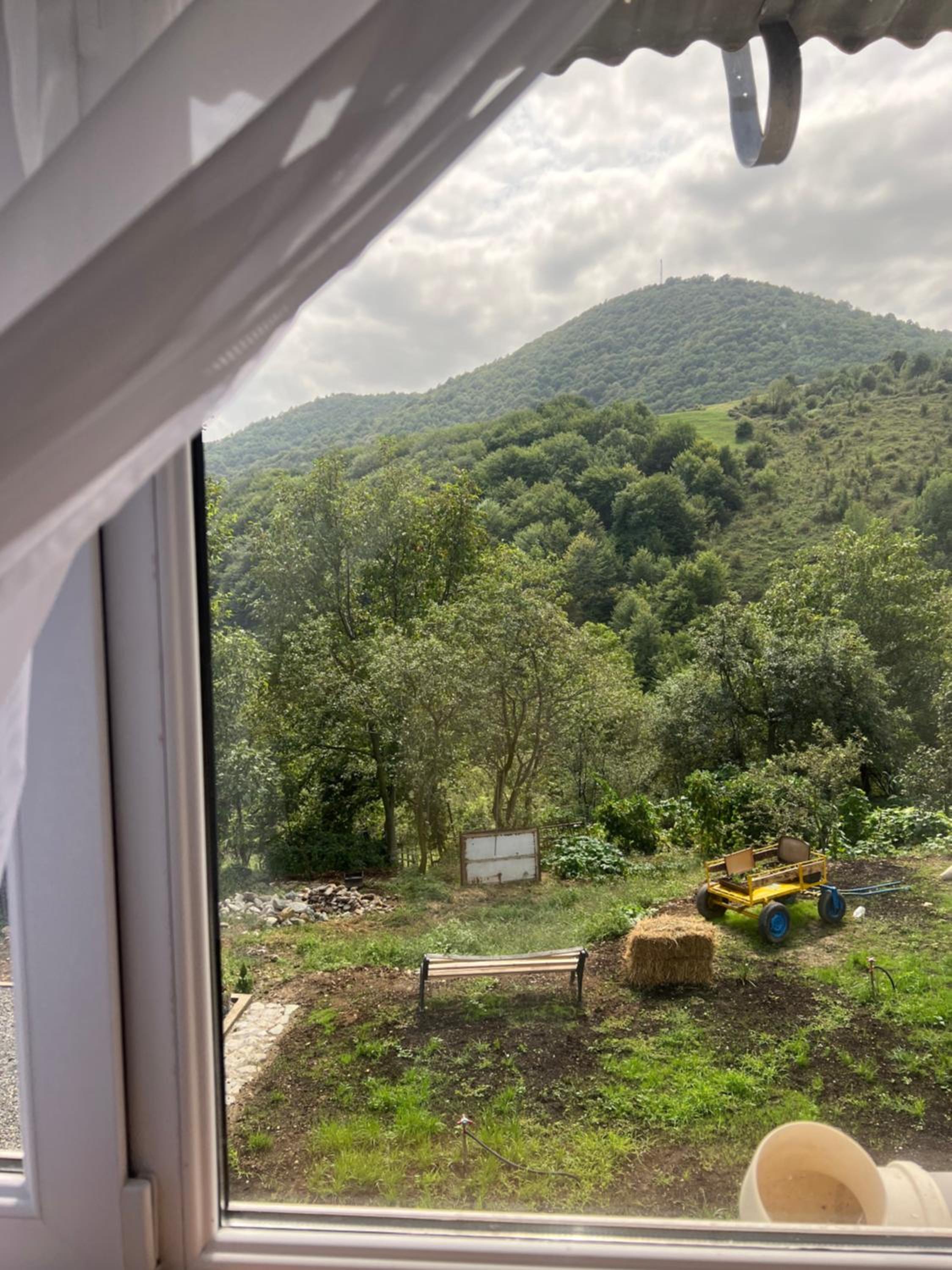 Hagvi Resort