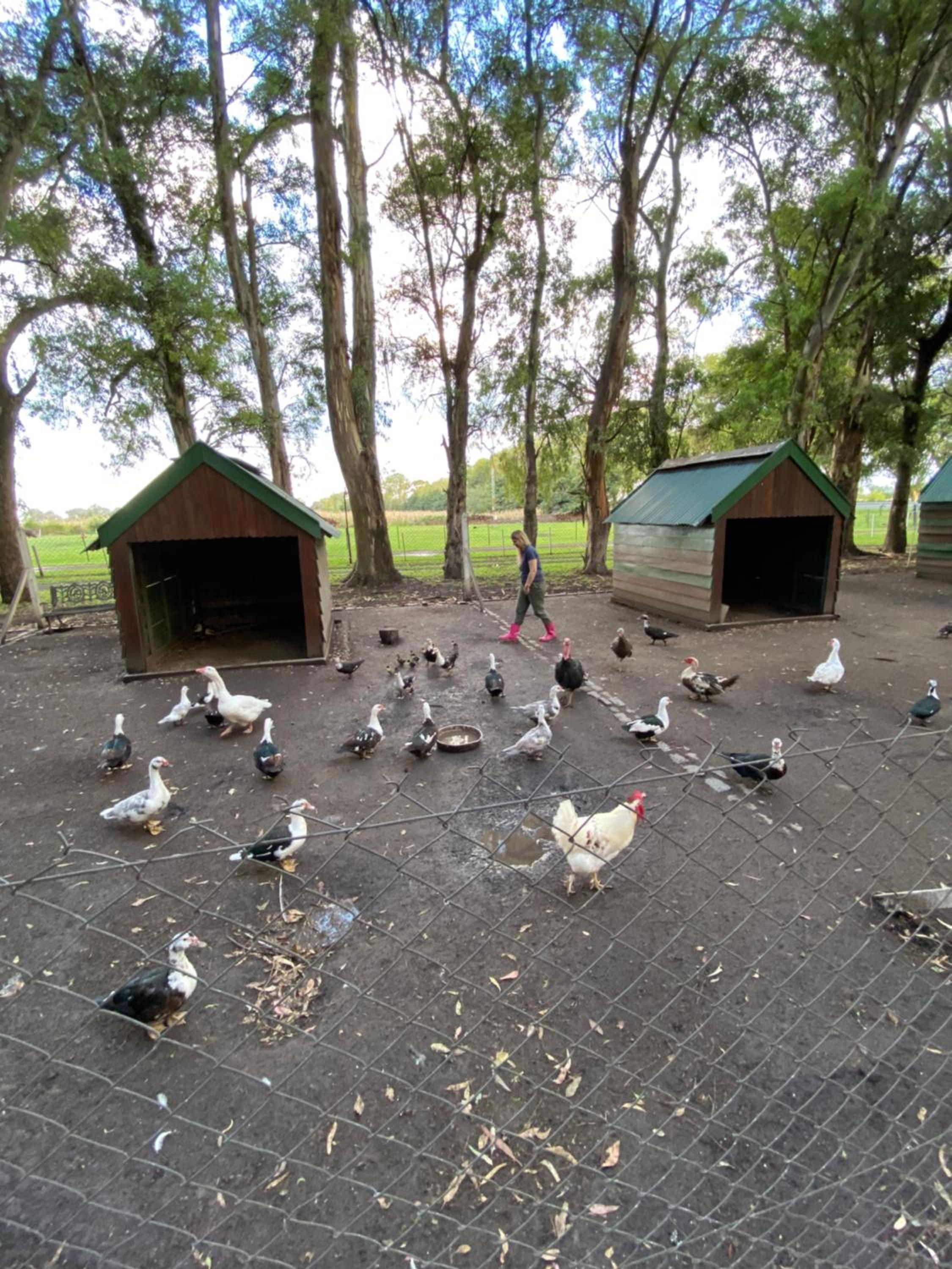 Estancia Don Pedro