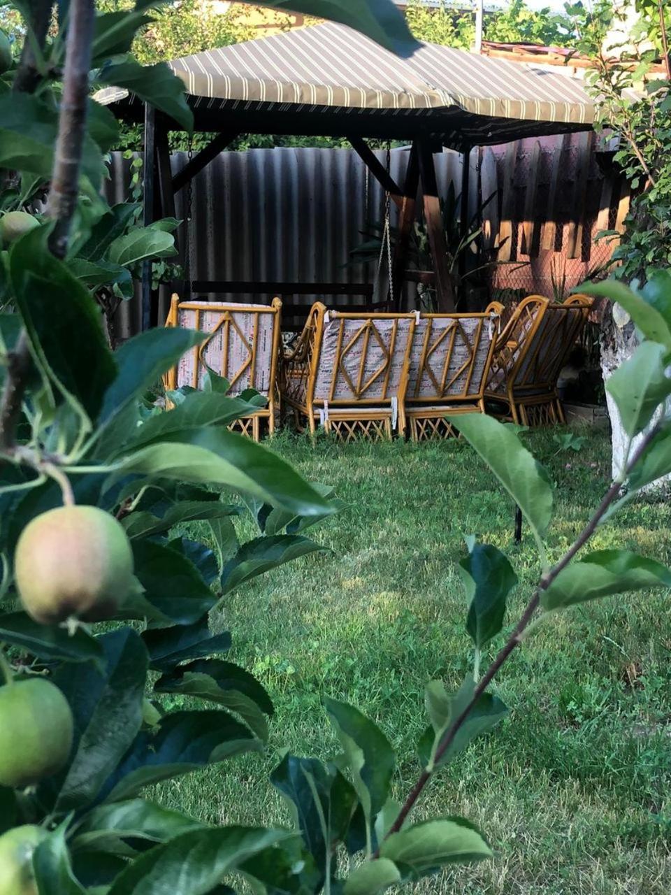 Dacha