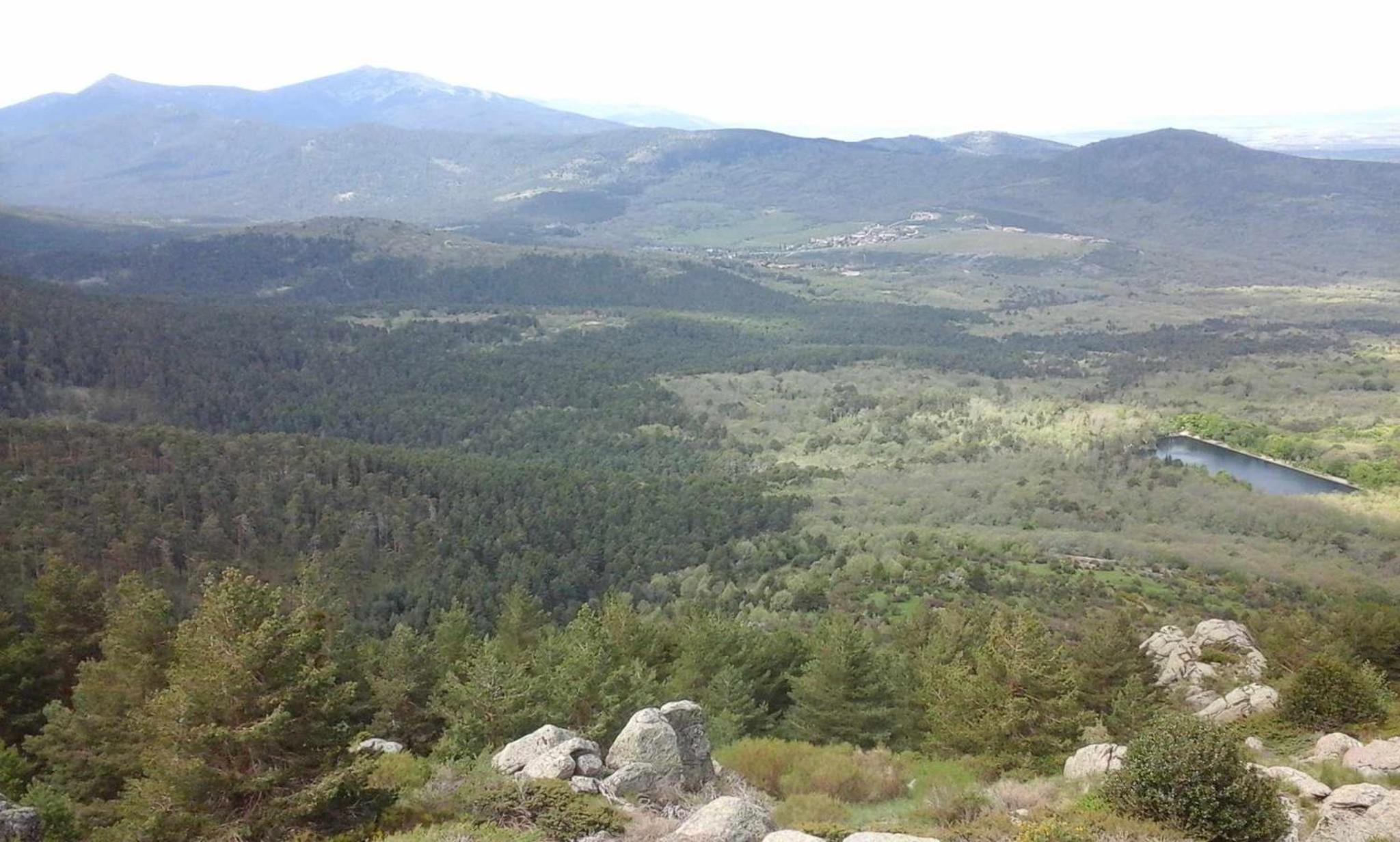 Photo 36