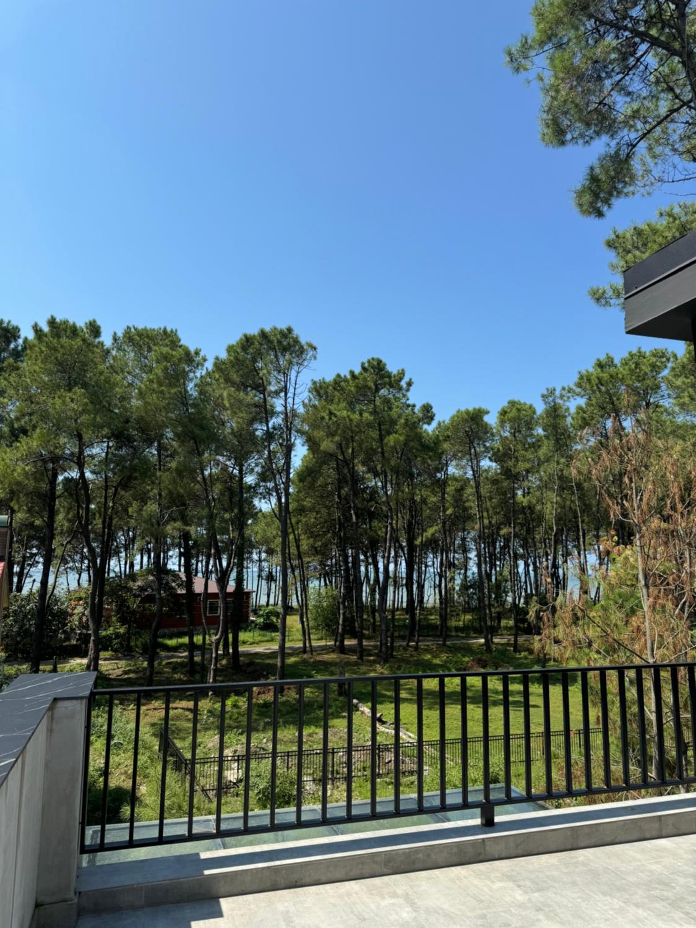 Shekvetili