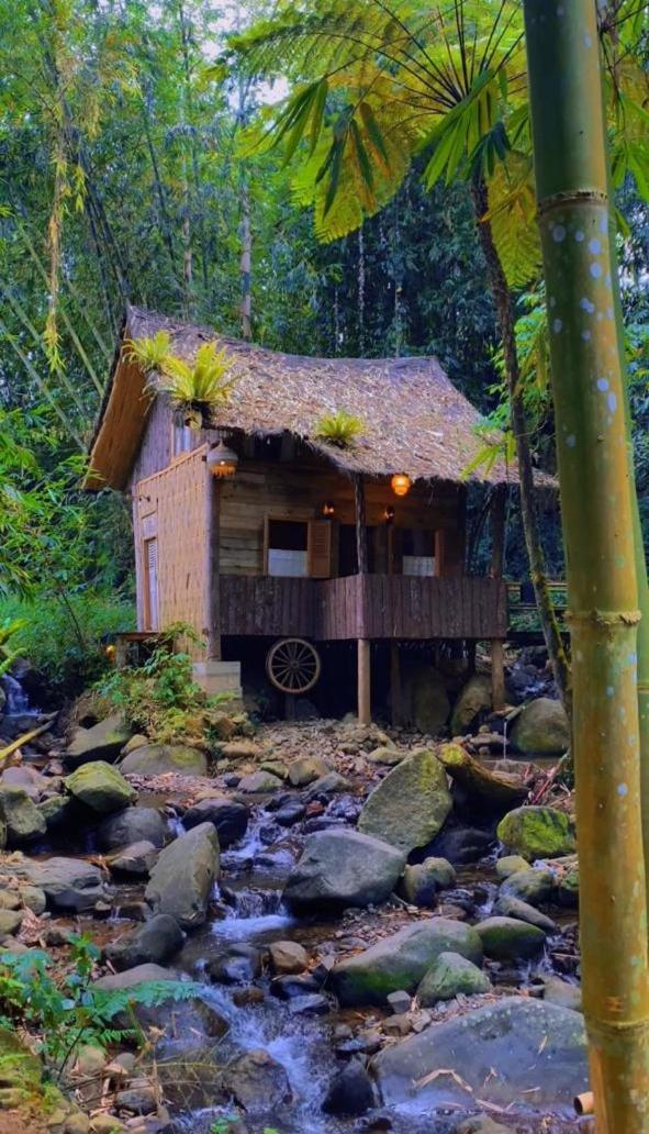 Rumah Kayu Bumi Sikabu view 3