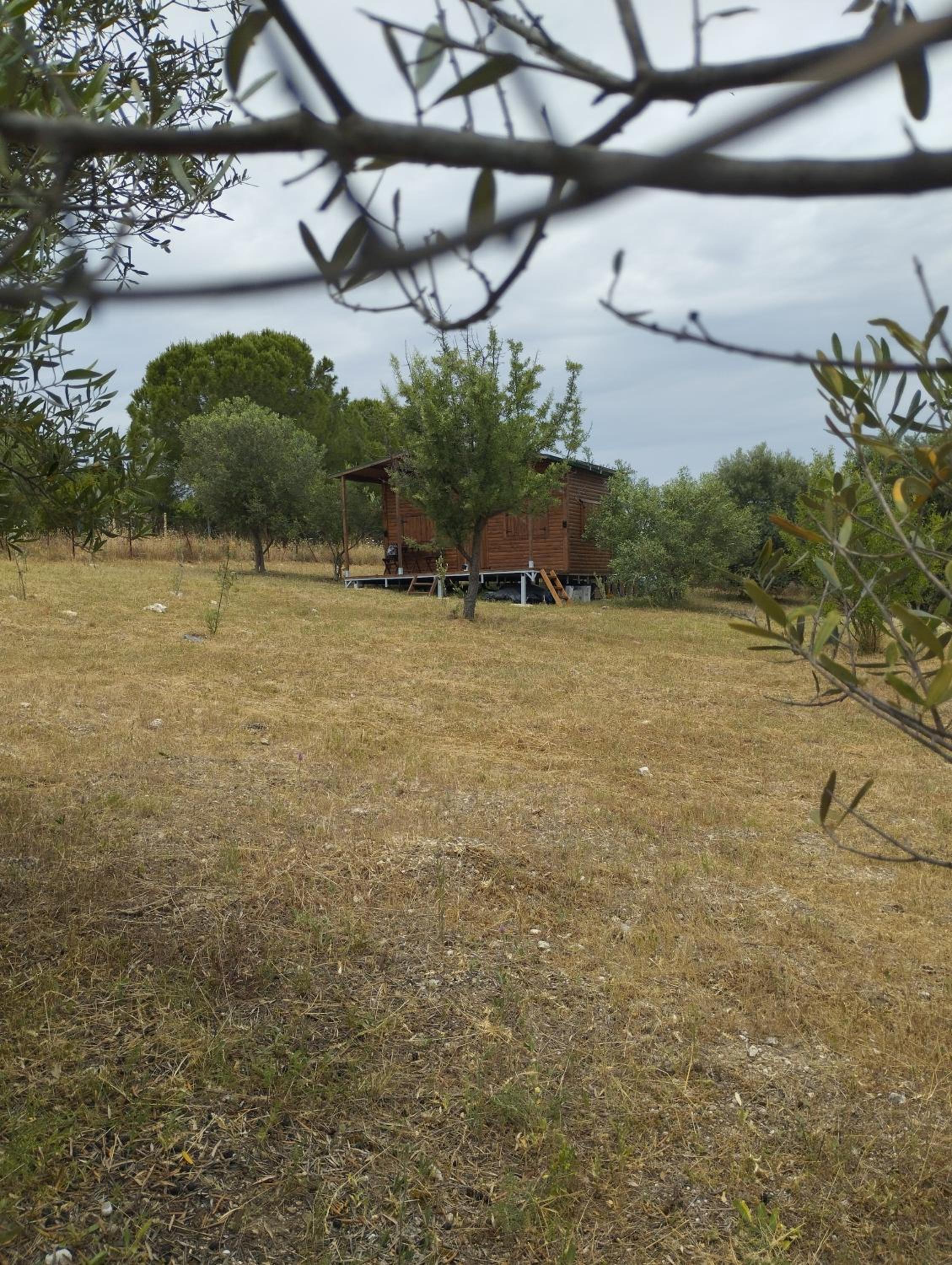 The Wooden Cabin