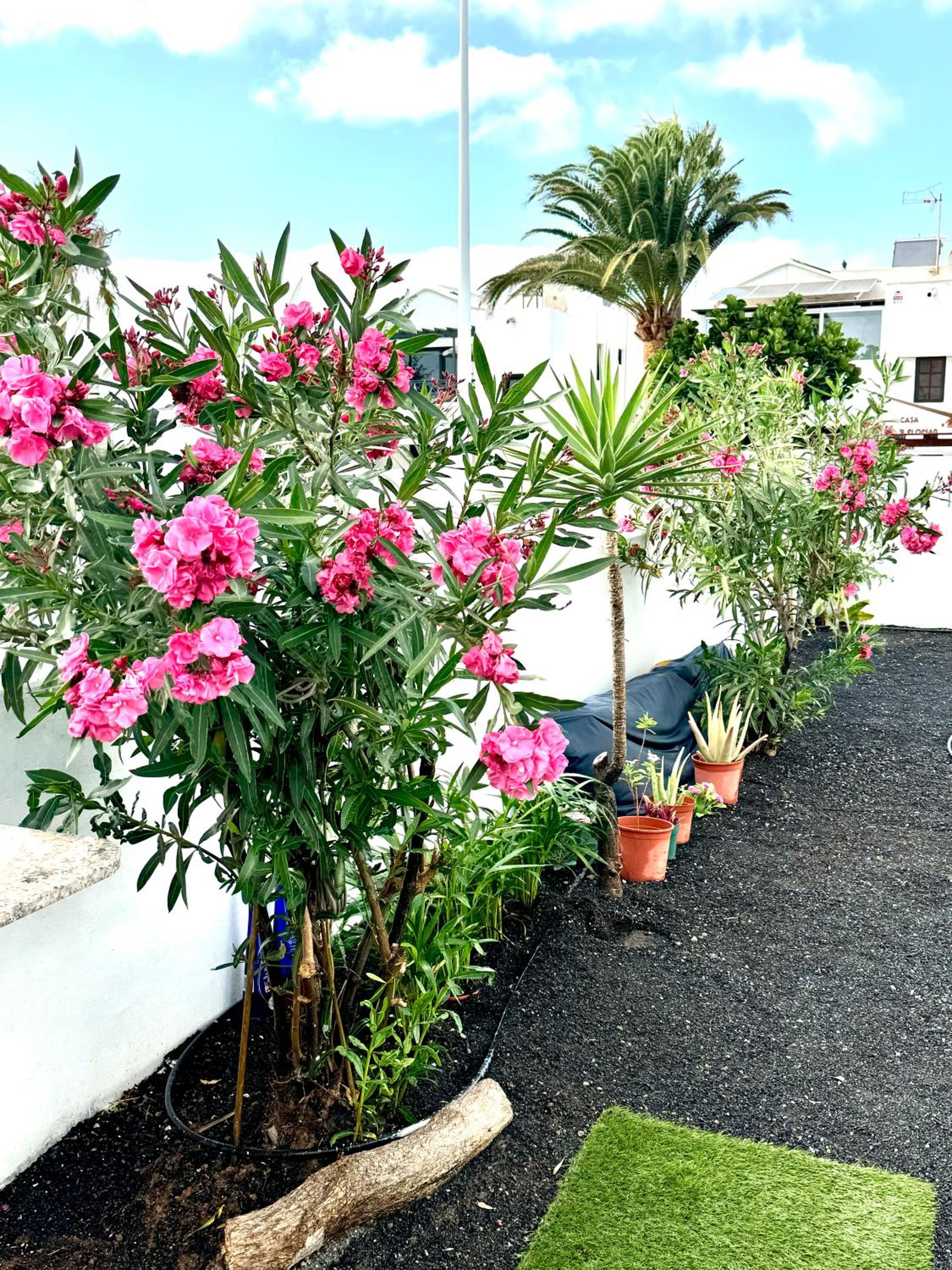 Casa Las Olas