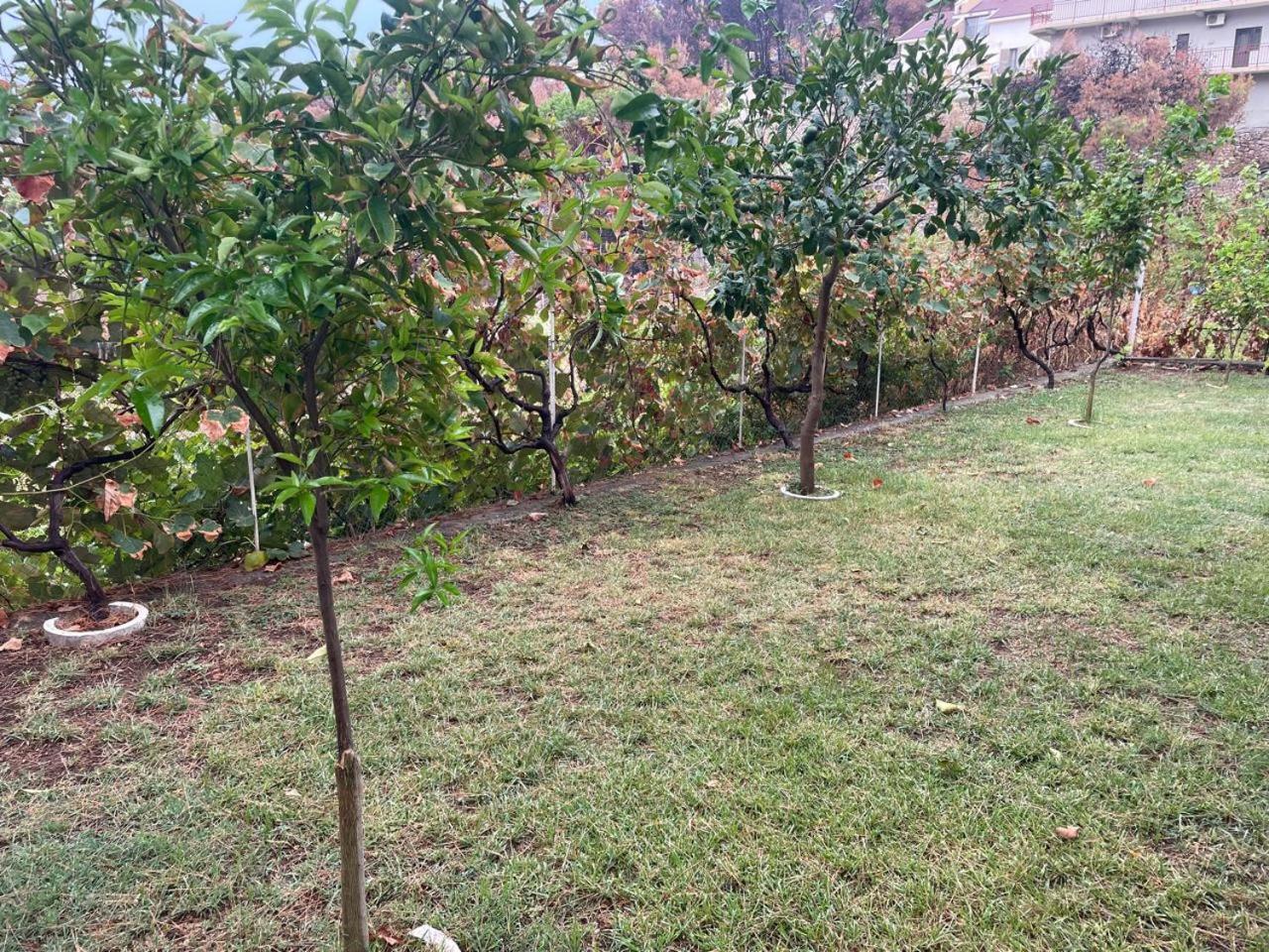 Vila Frroku