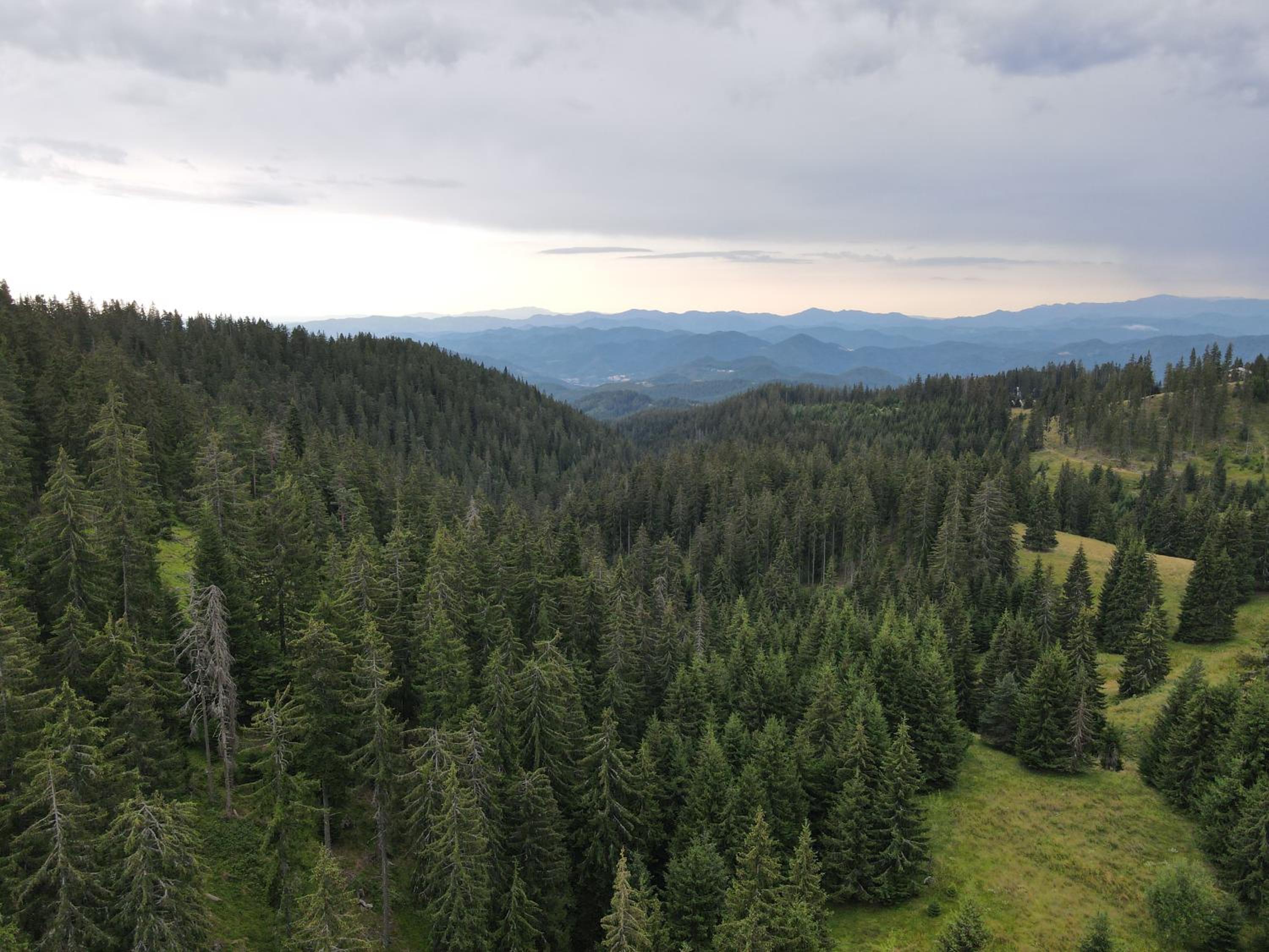 PAMPOROVO Raikovski lodge