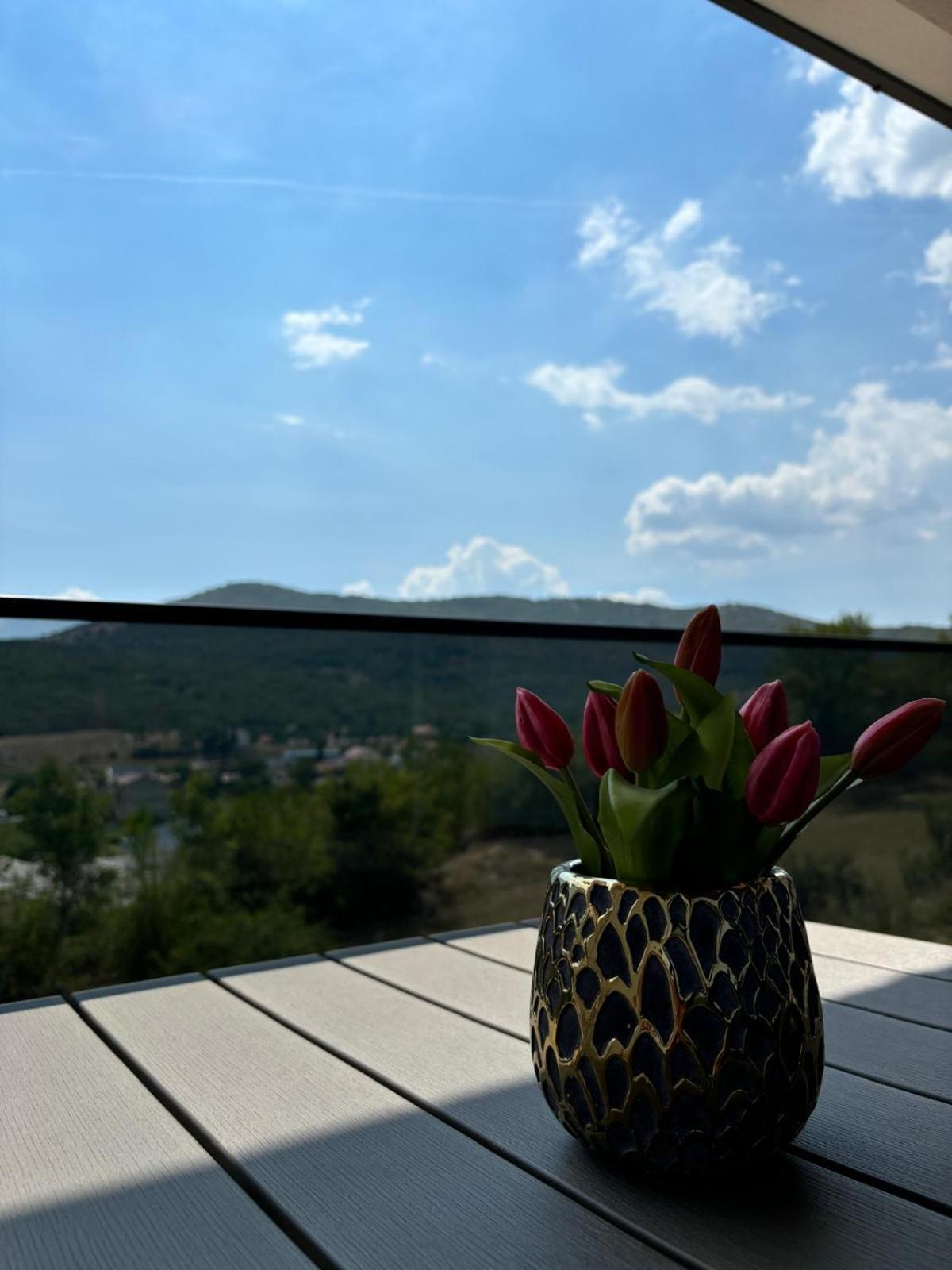 Villa Panorama Rakitno