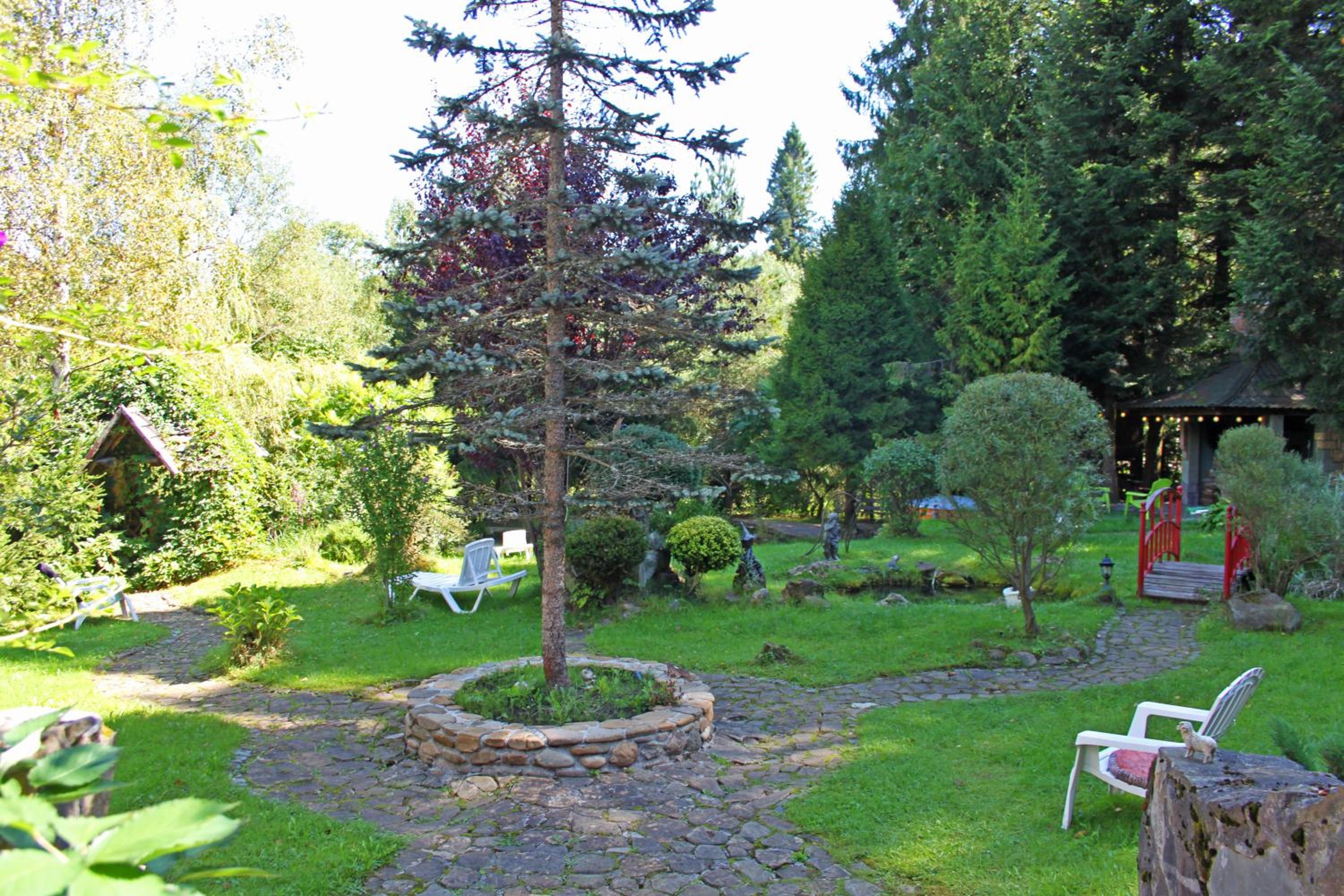 Photo 12