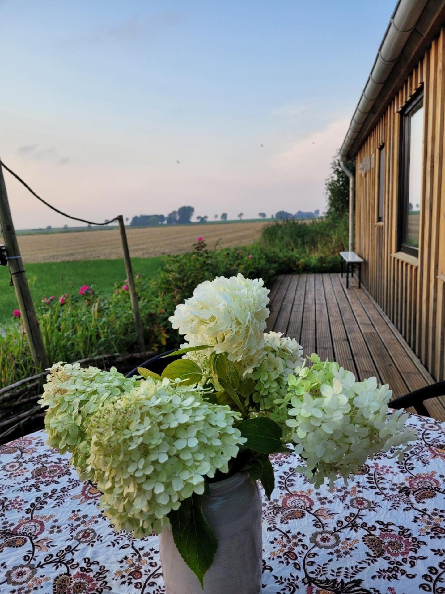 Dijksterhuisje