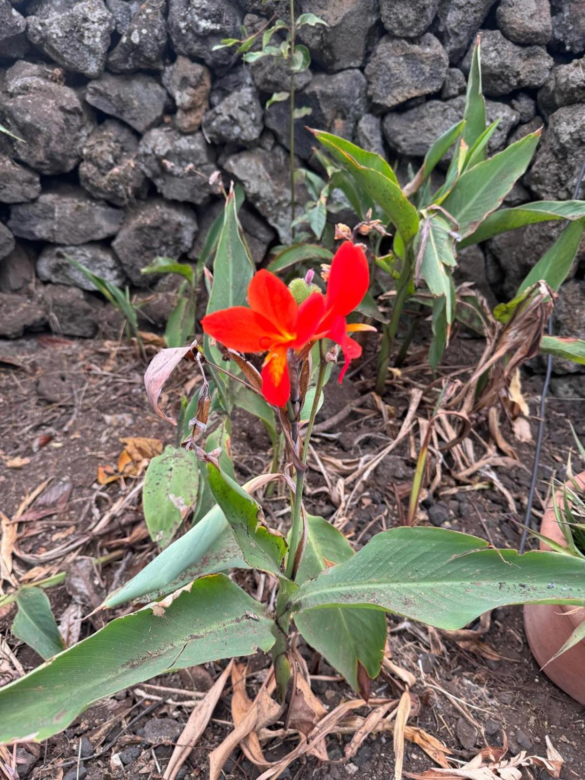 Oasis Hill Botanical Garden