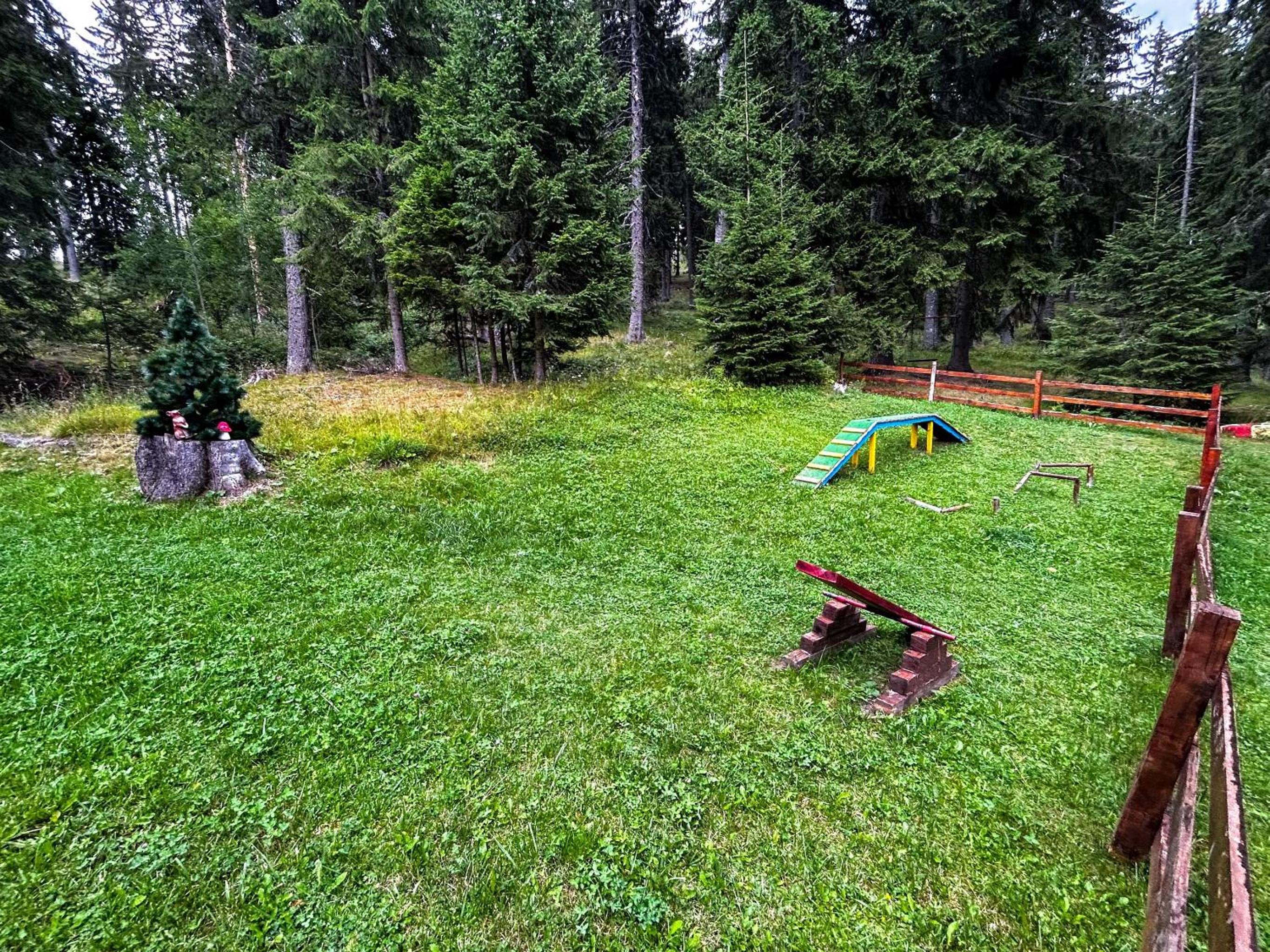 PAMPOROVO Raikovski lodge