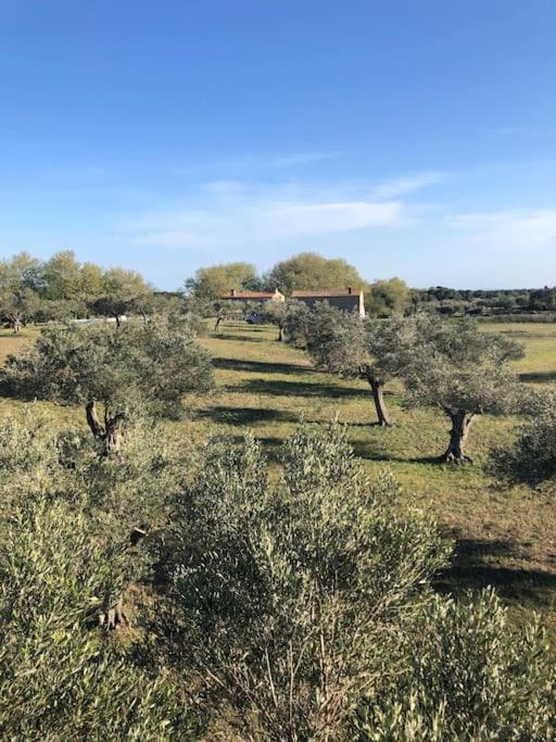 Suite Romantica en el campo, Cantallops, Girona view 5