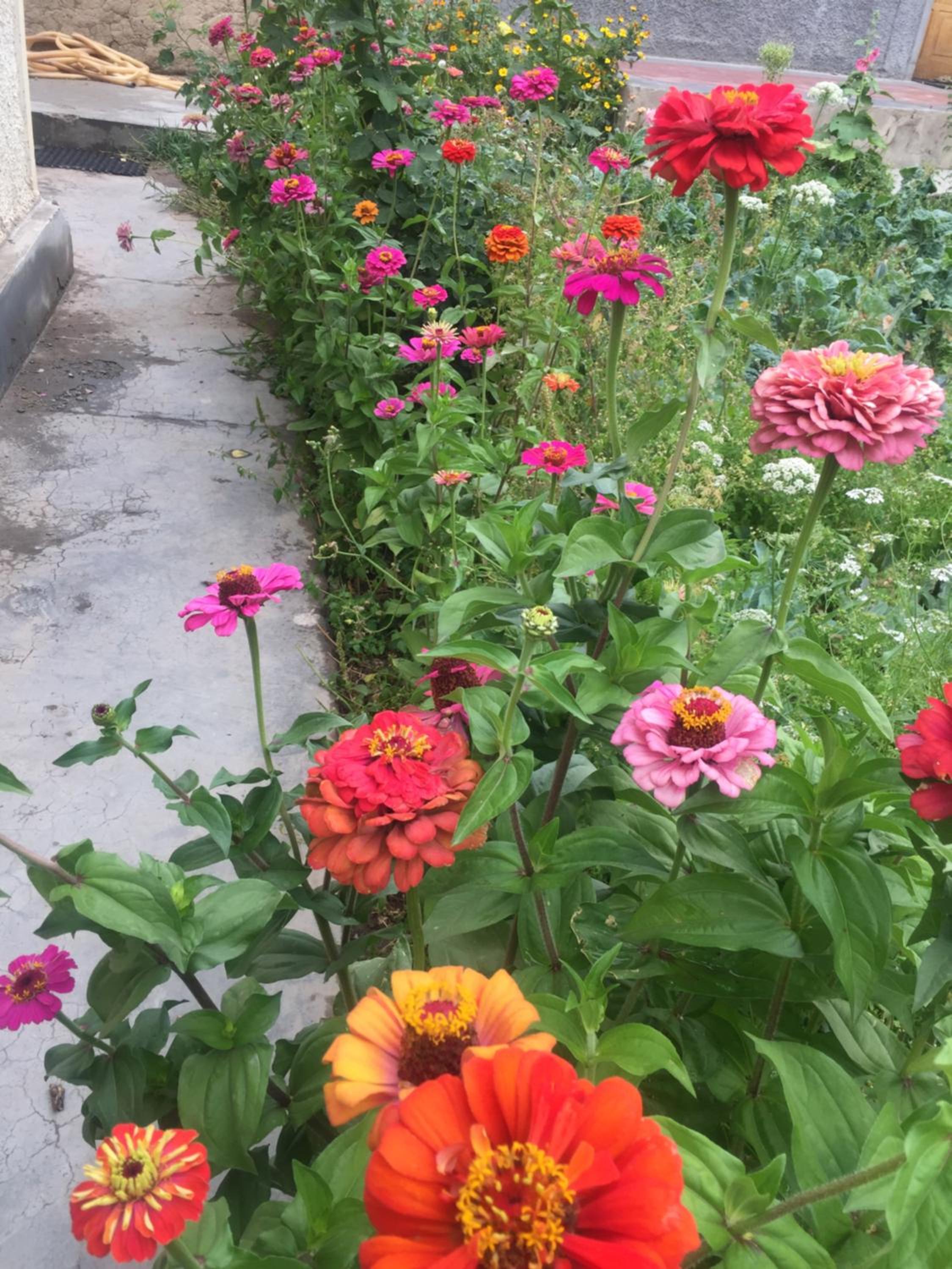 Barcha guest house view 3